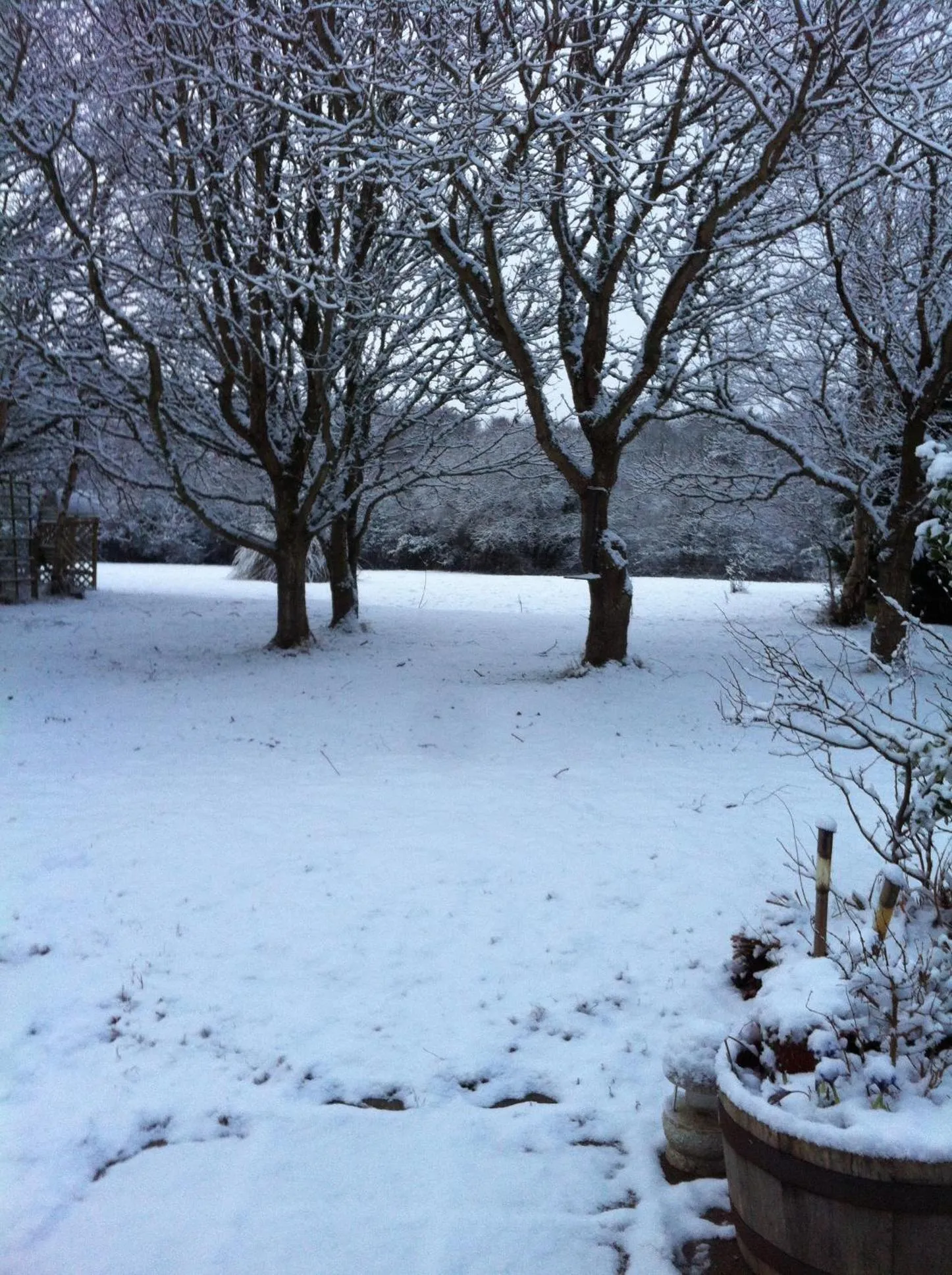 Garden view in Jonti Bed And Breakfast