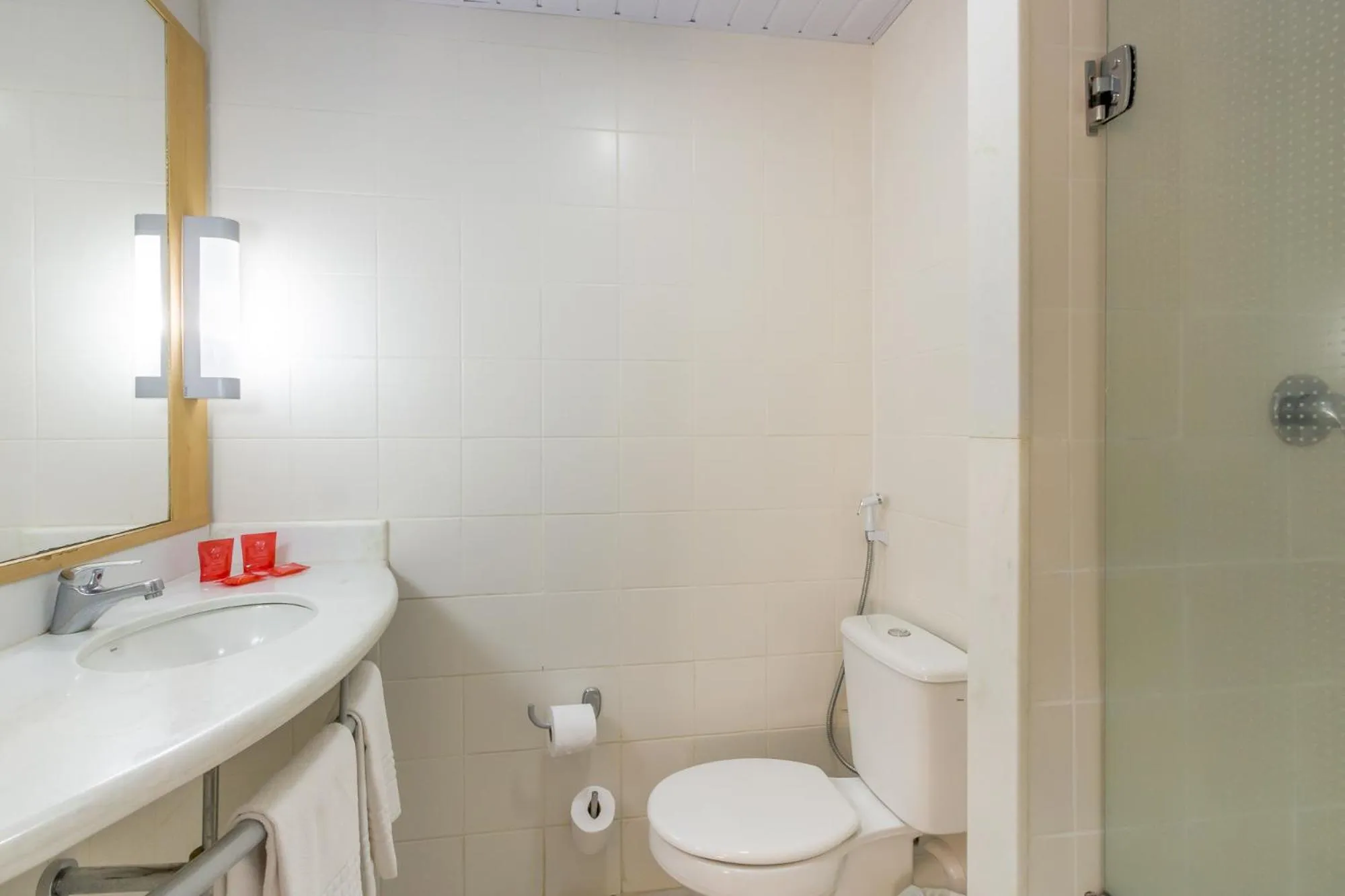 Bathroom in ibis Barretos