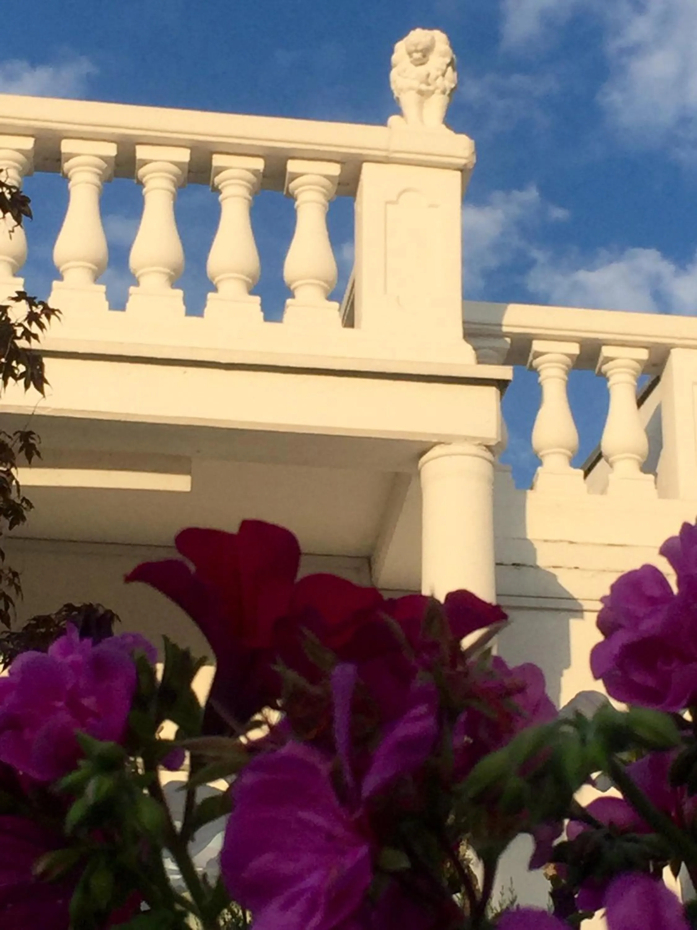 Facade/entrance in Hotel Ramor Garni
