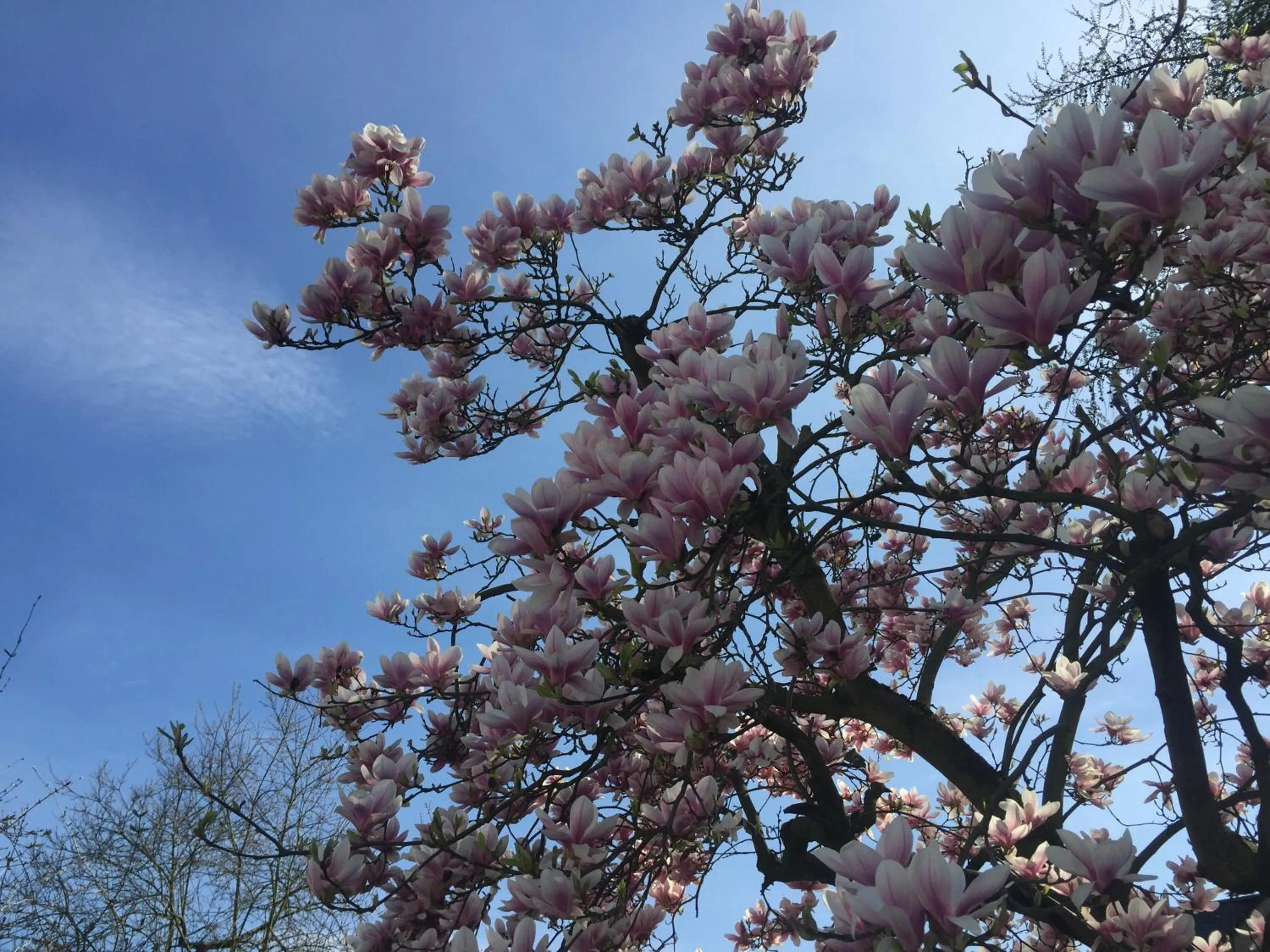 Other in Hotel Ramor Garni