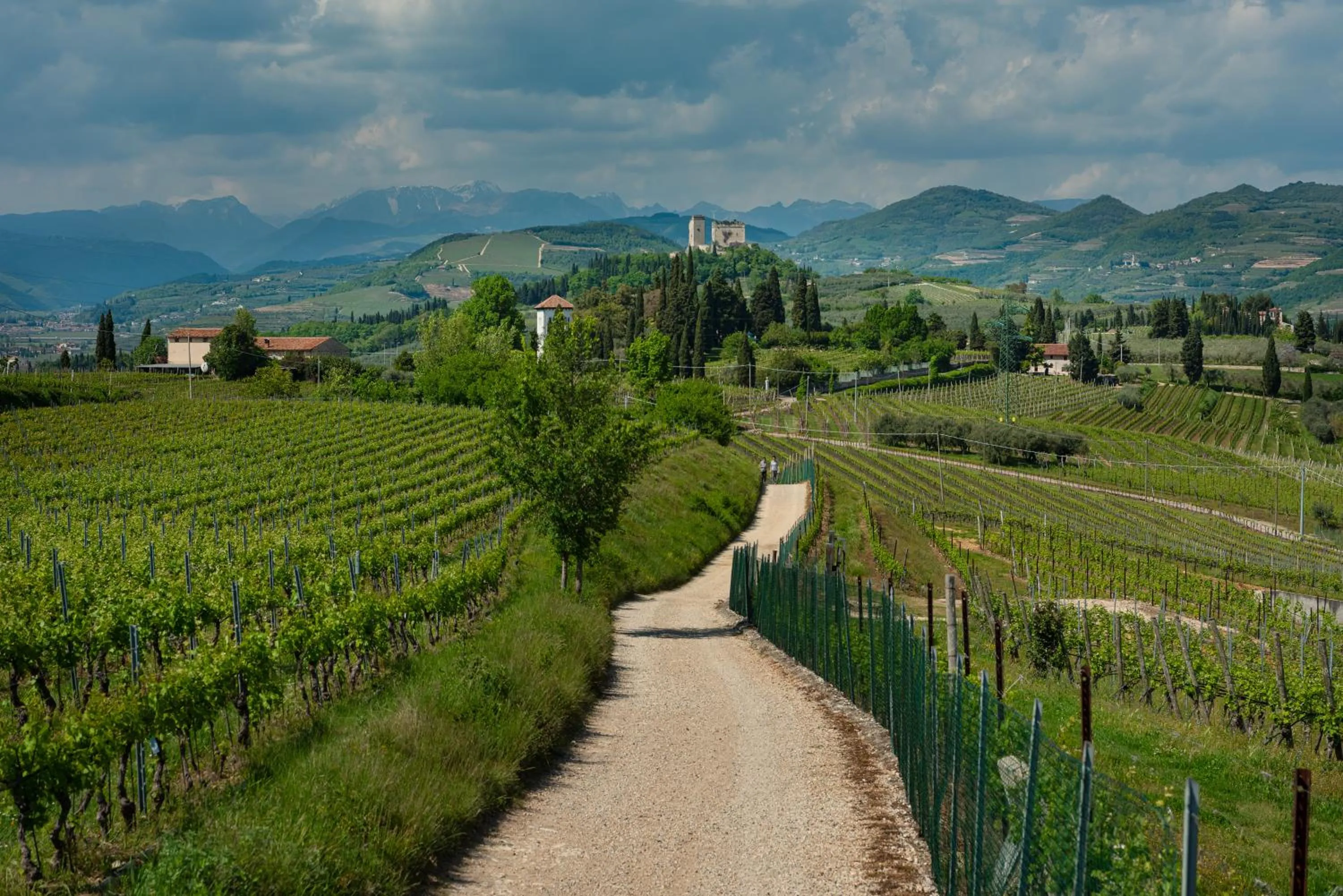 Natural landscape in Sporting Hotel San Felice