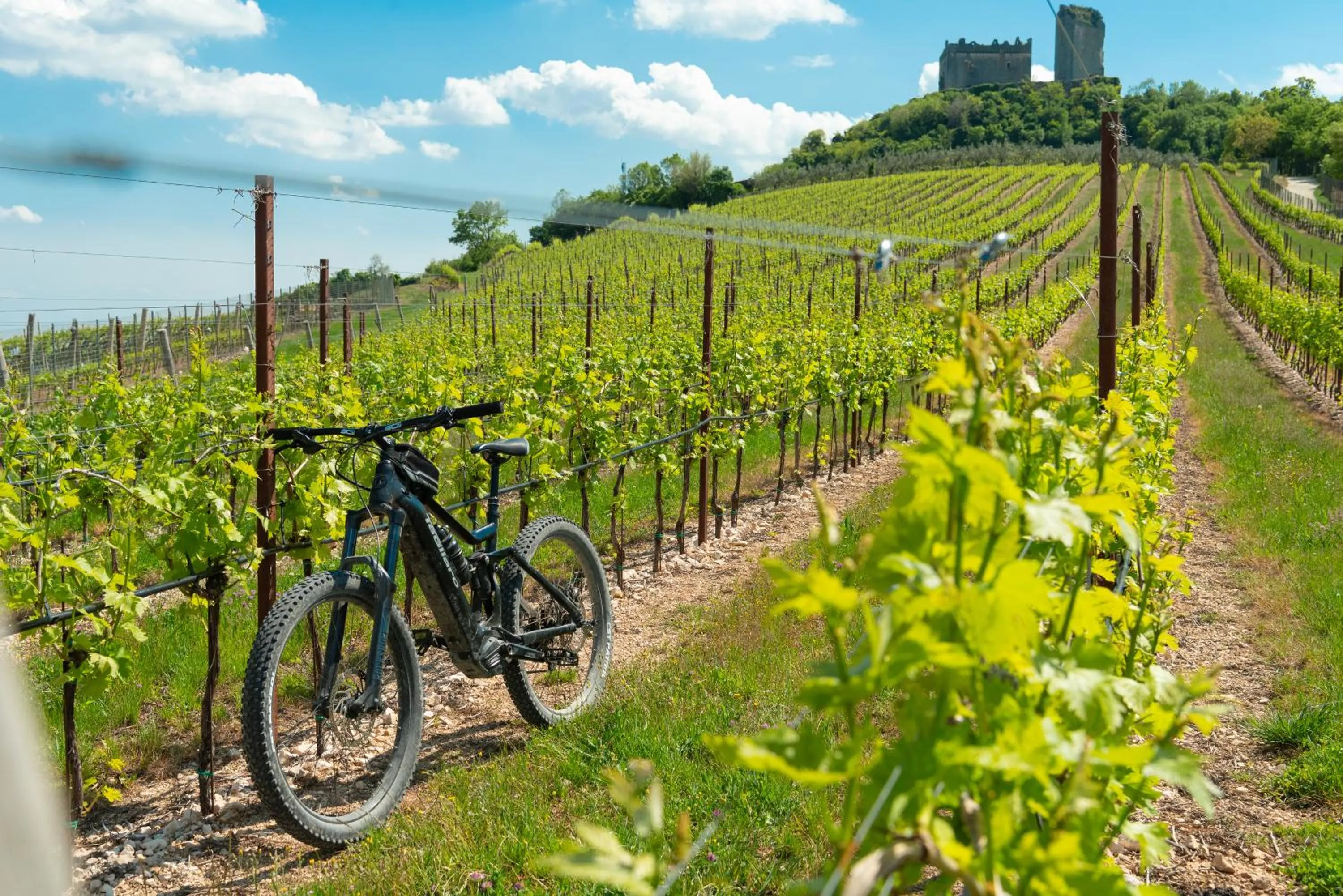 Nearby landmark in Sporting Hotel San Felice