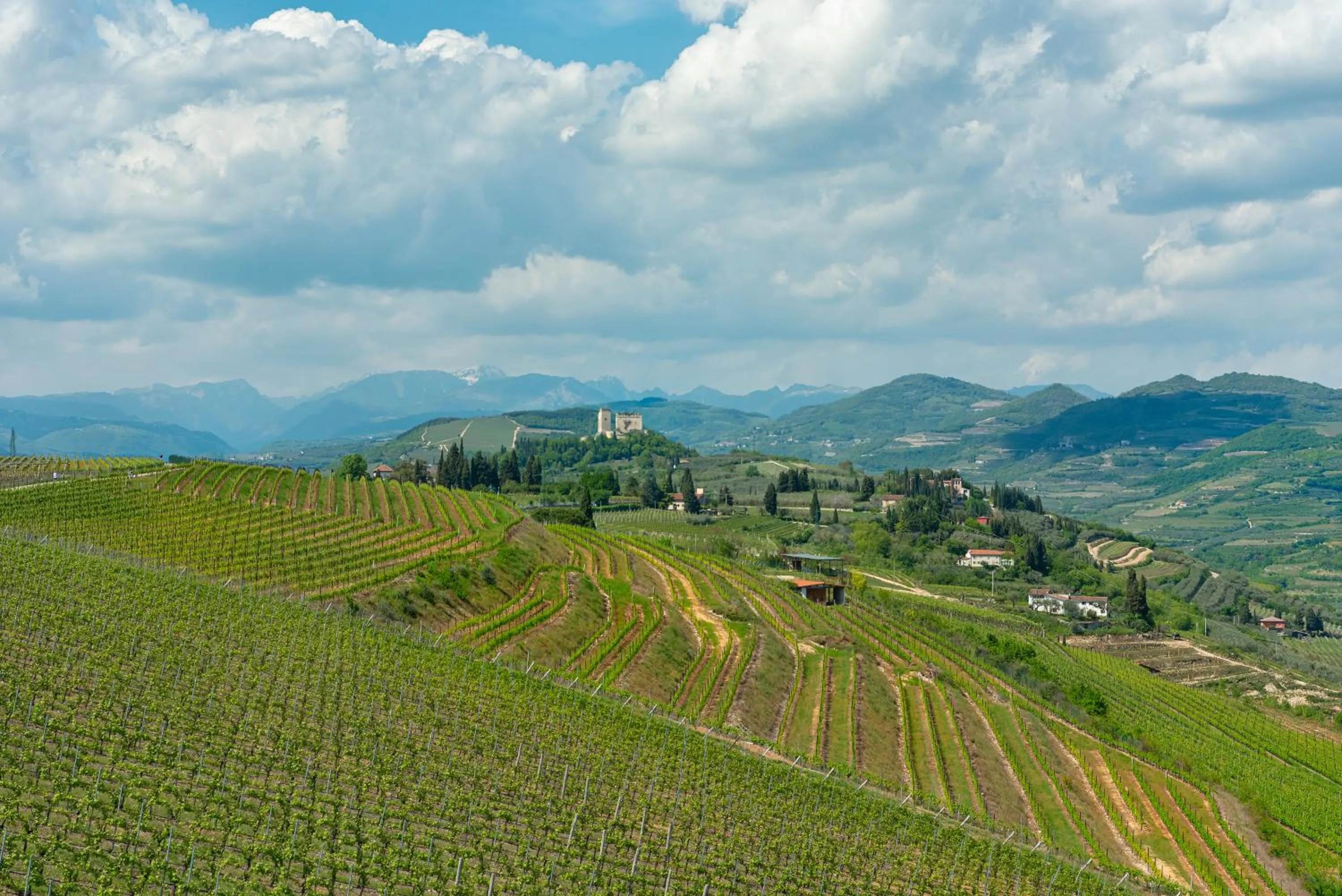 Natural landscape in Sporting Hotel San Felice