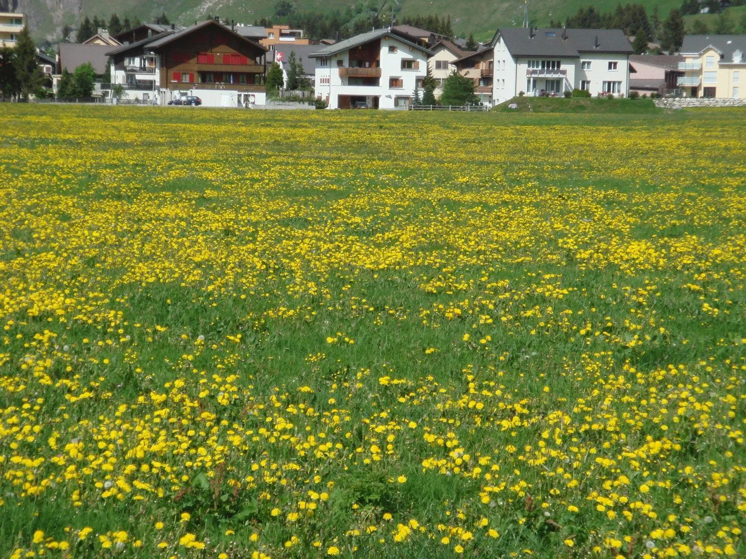 Area and facilities in Gasthaus Skiklub