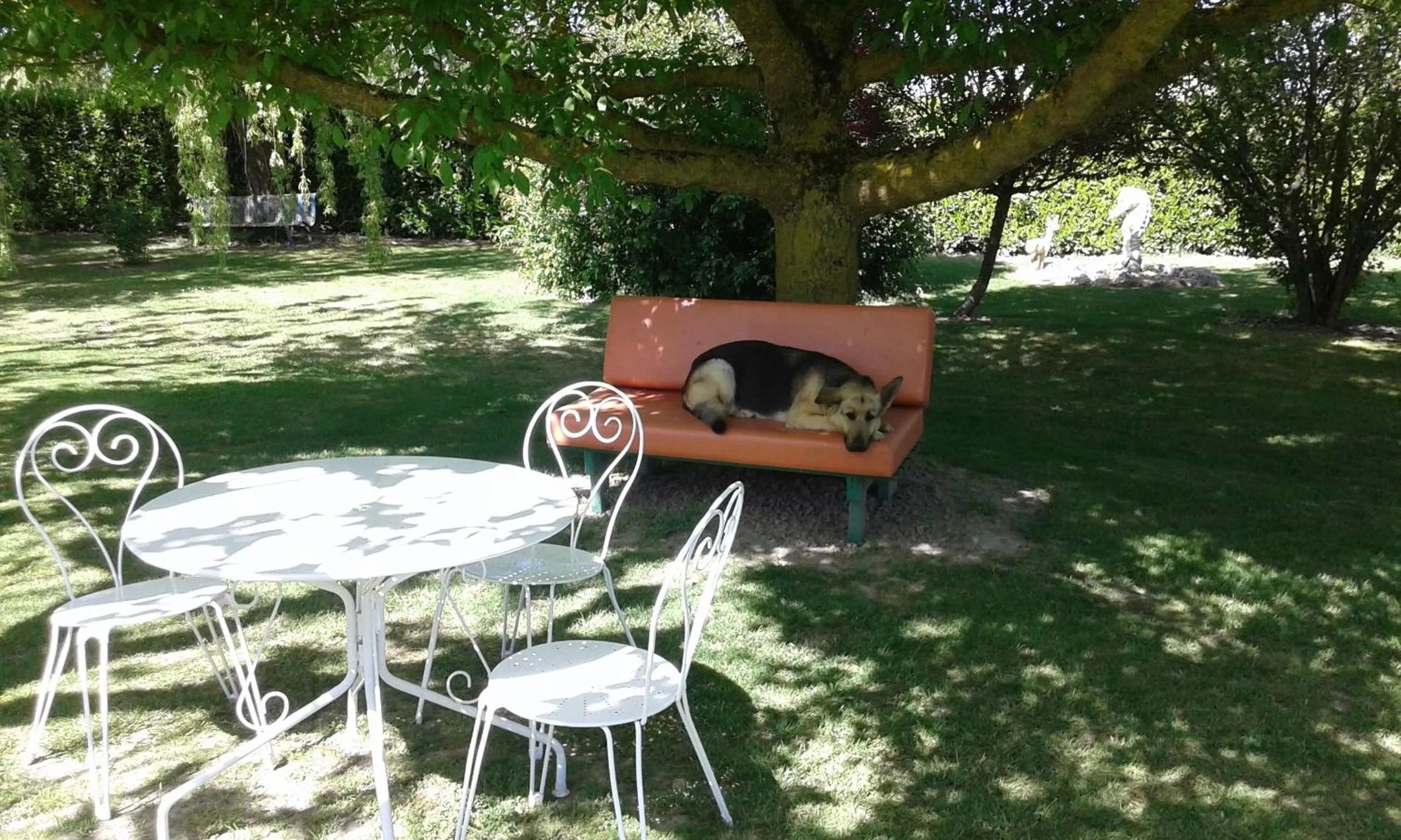 Animals in Villa Gazounette