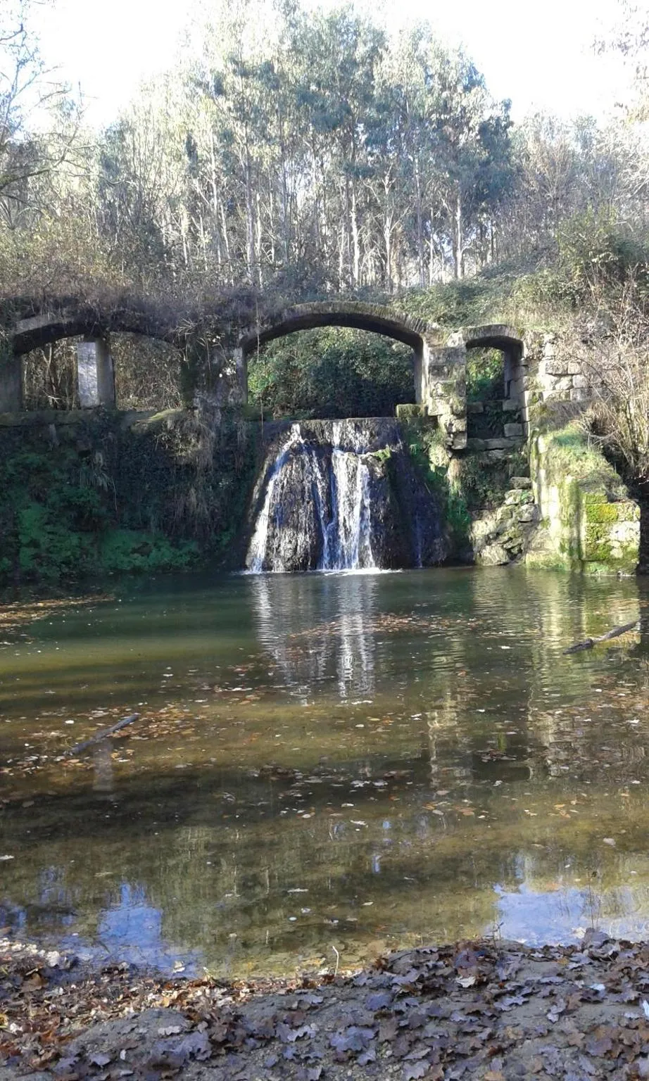 Natural landscape in Villa Gazounette