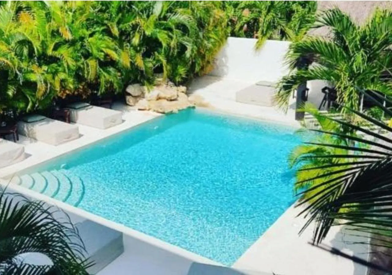 Day in Xcacel Dreams