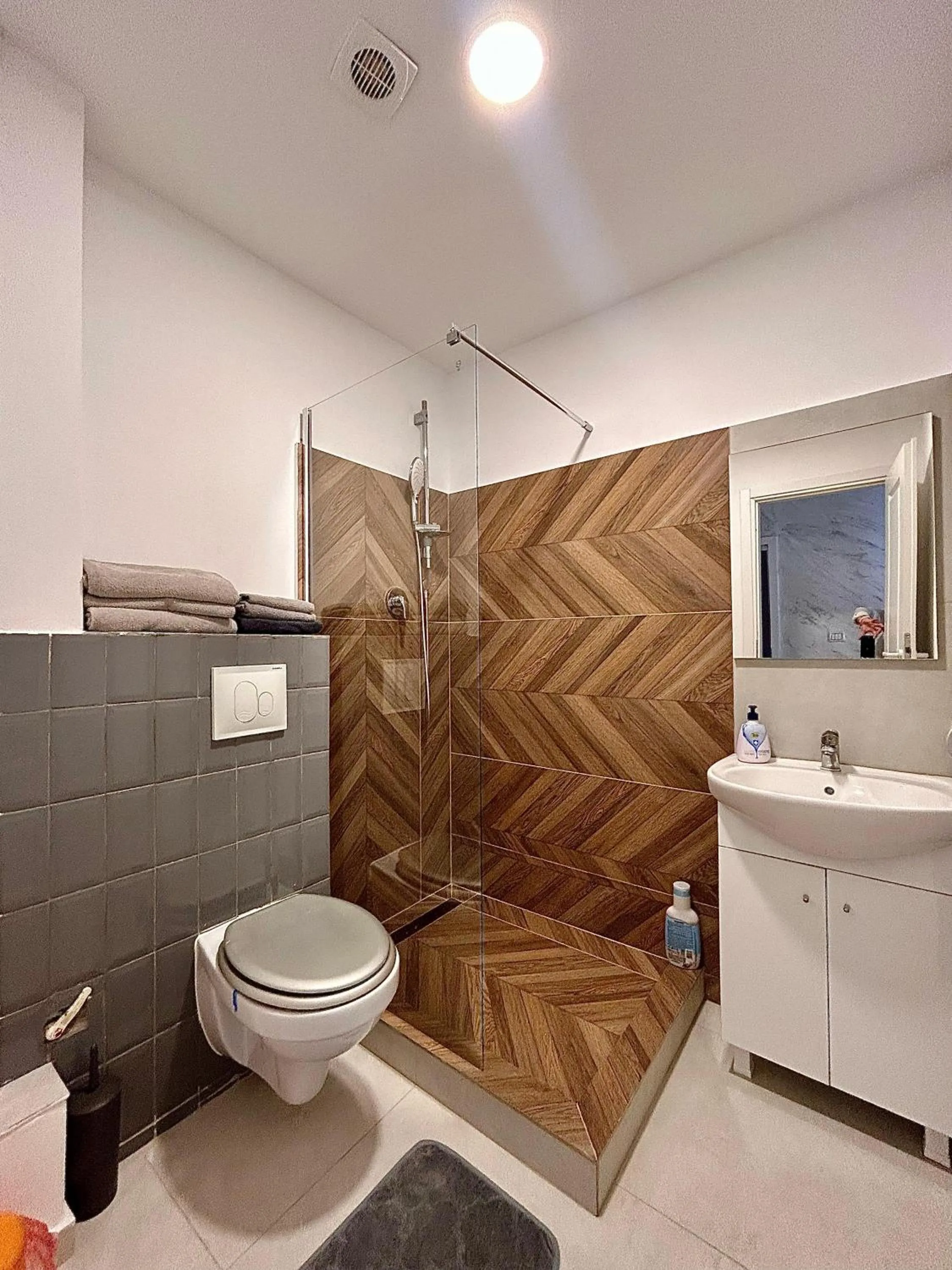 Shower in Teodoroiu nr. 5