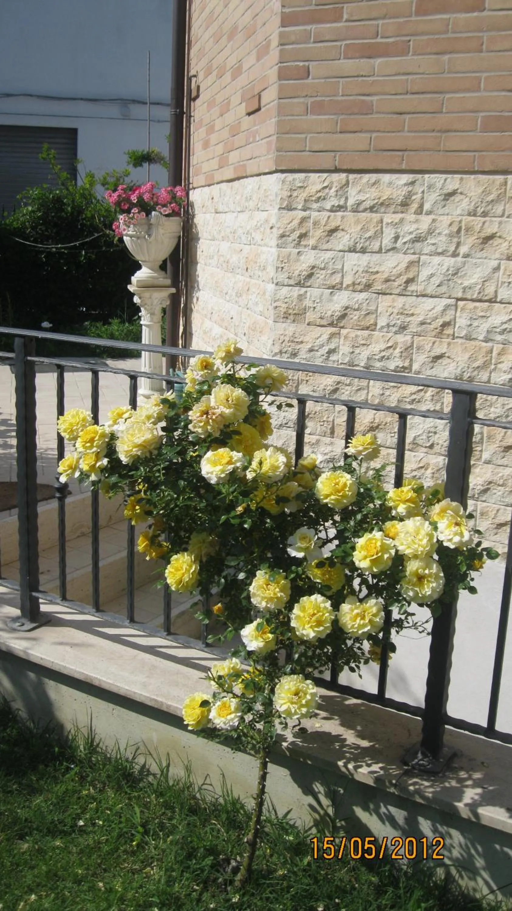 Other in AFFITTACAMERE La Tartaruga