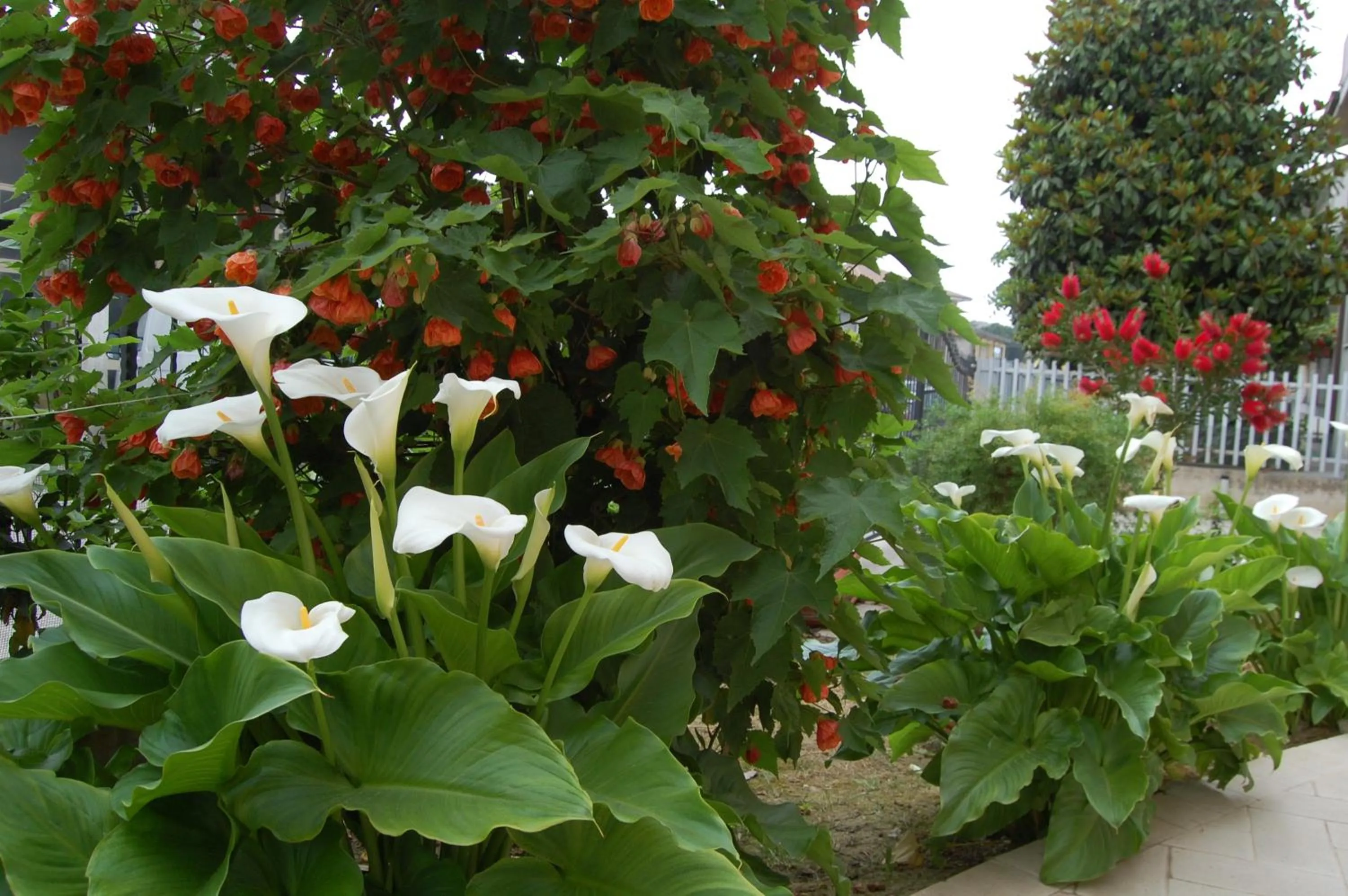 Other in AFFITTACAMERE La Tartaruga