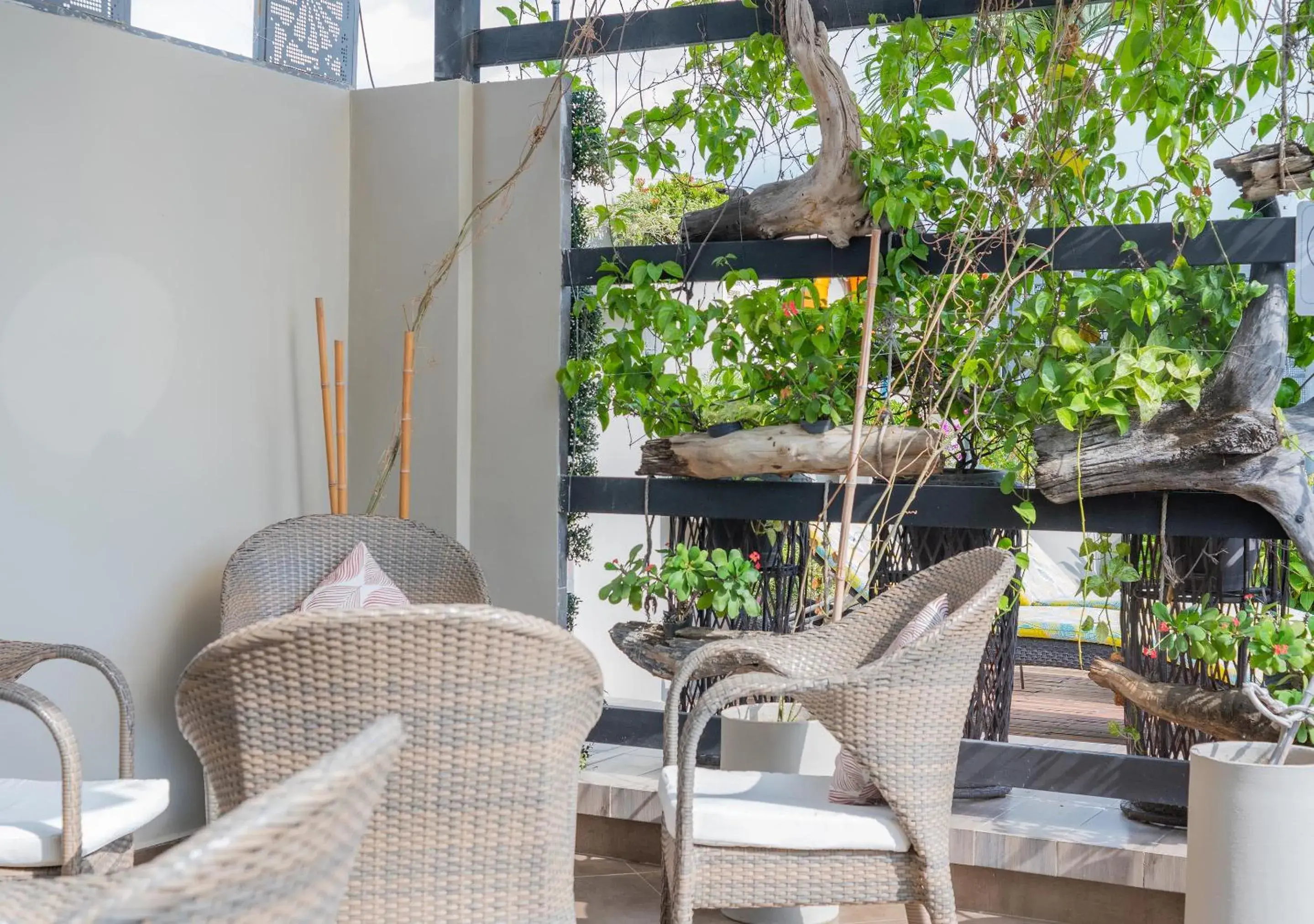 Lounge or bar in Hotel Perla Suite Santa Marta Lounge or bar in Hotel Perla Suite Santa Marta