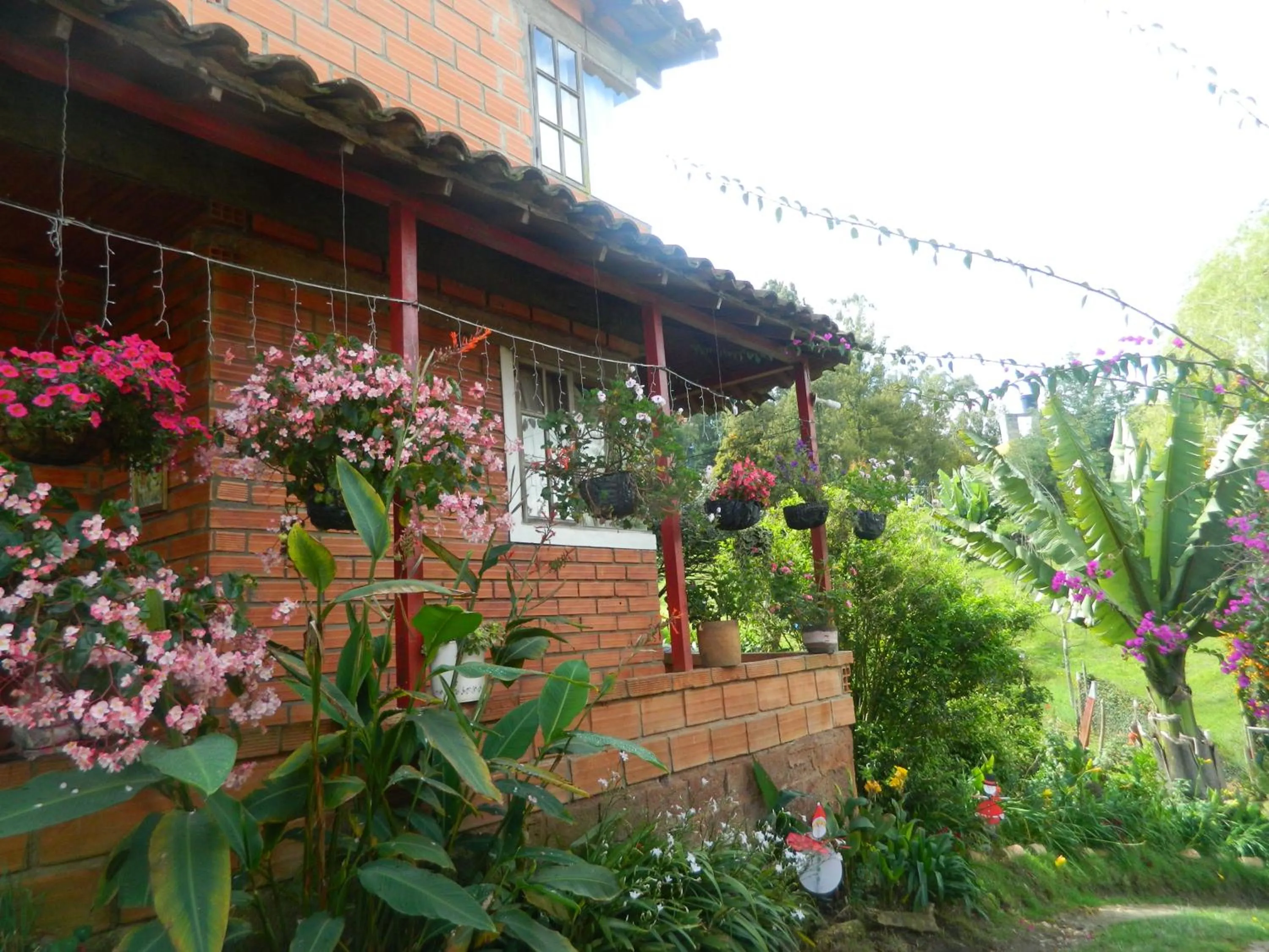 Property building in Finca Hotel Nutabes
