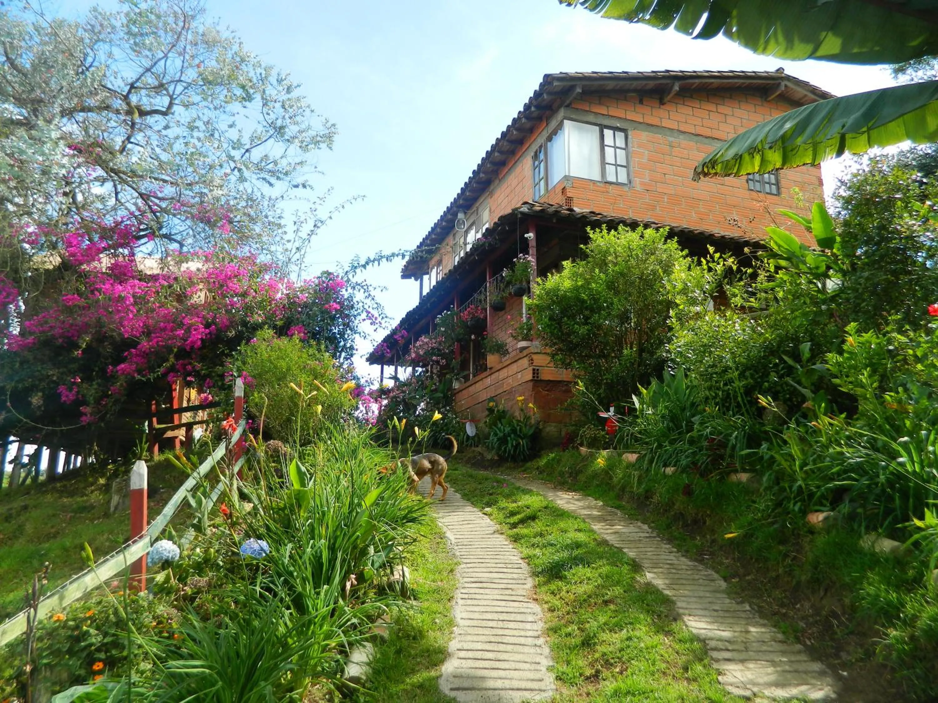 Property building in Finca Hotel Nutabes