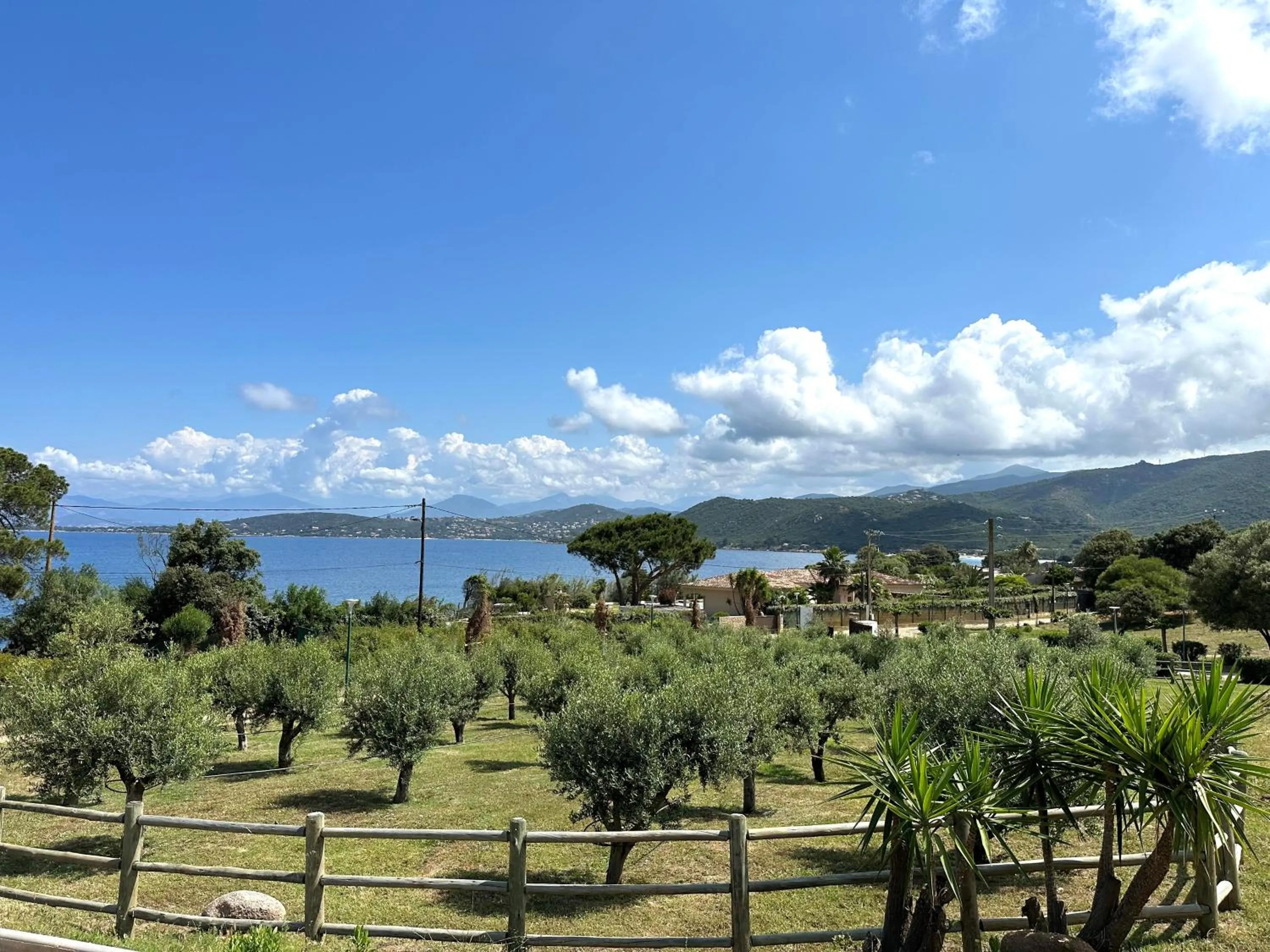 Garden in Résidence Aigue Marine