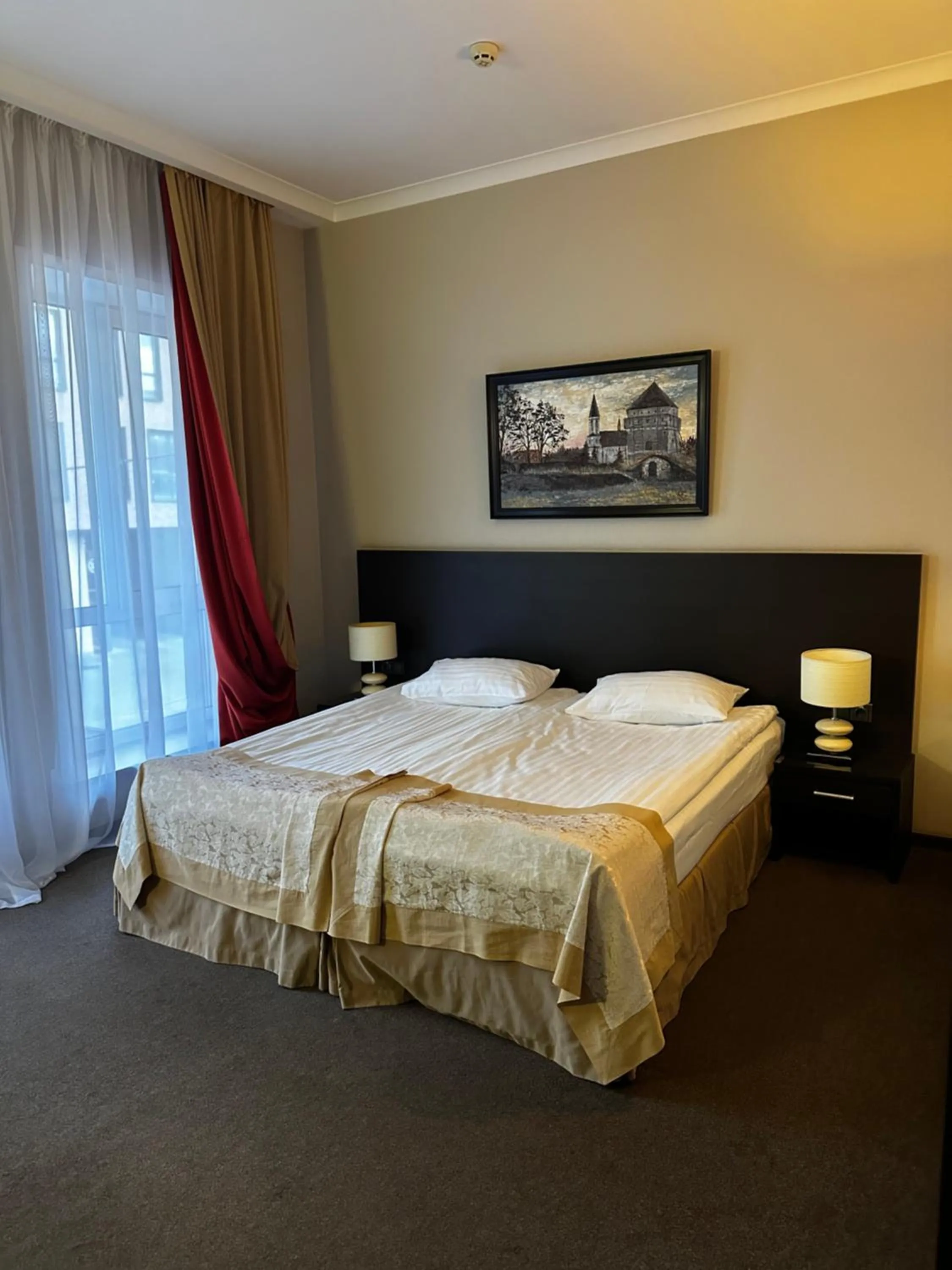 Double or Twin Room - single occupancy - Disability Access in Optima Collection Troitska