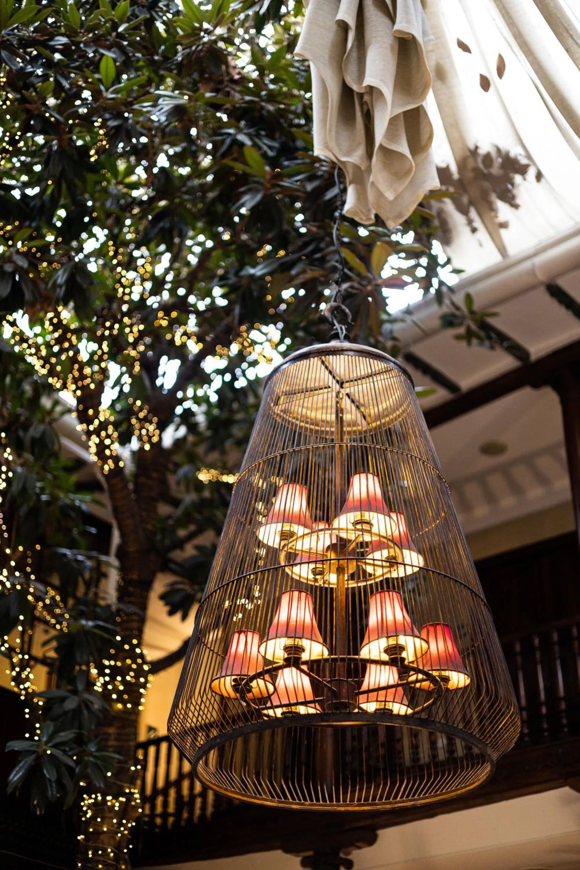 View (from property/room) in Hotel Boutique Santa Lucia