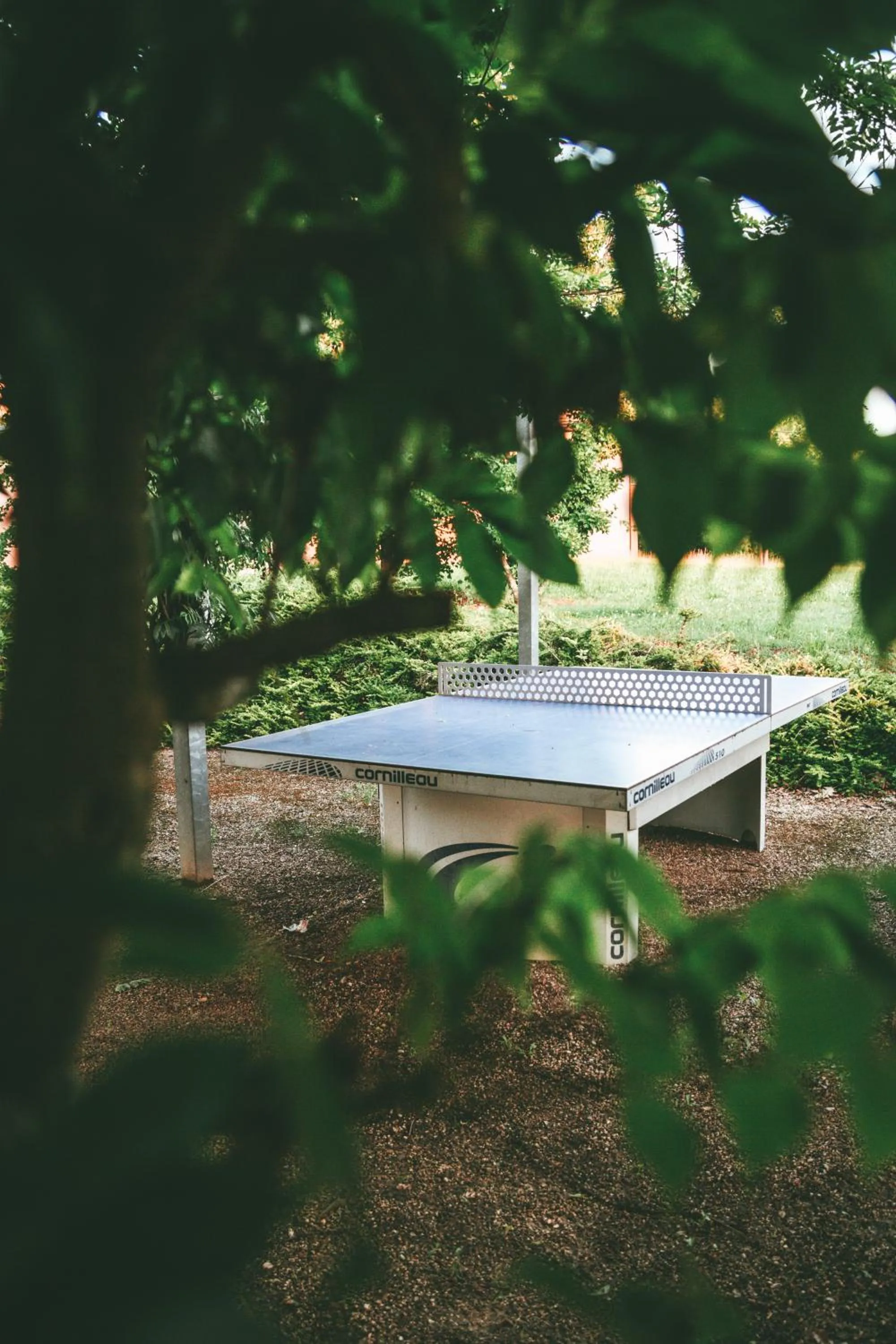Table tennis in Terres de France - Domaine de Claire Rive