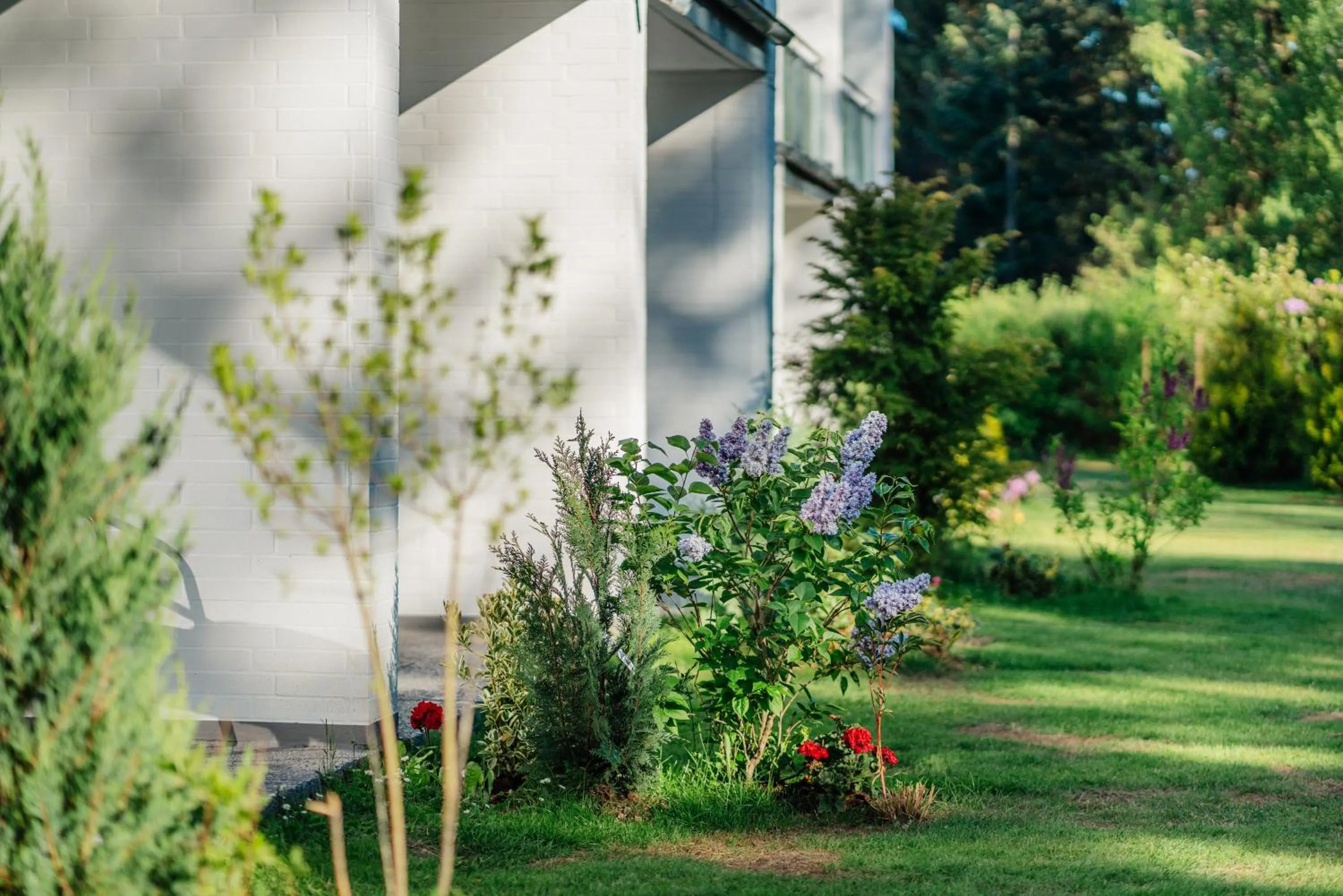 Property building in Hotel Hasselhof Garni Vier Sterne