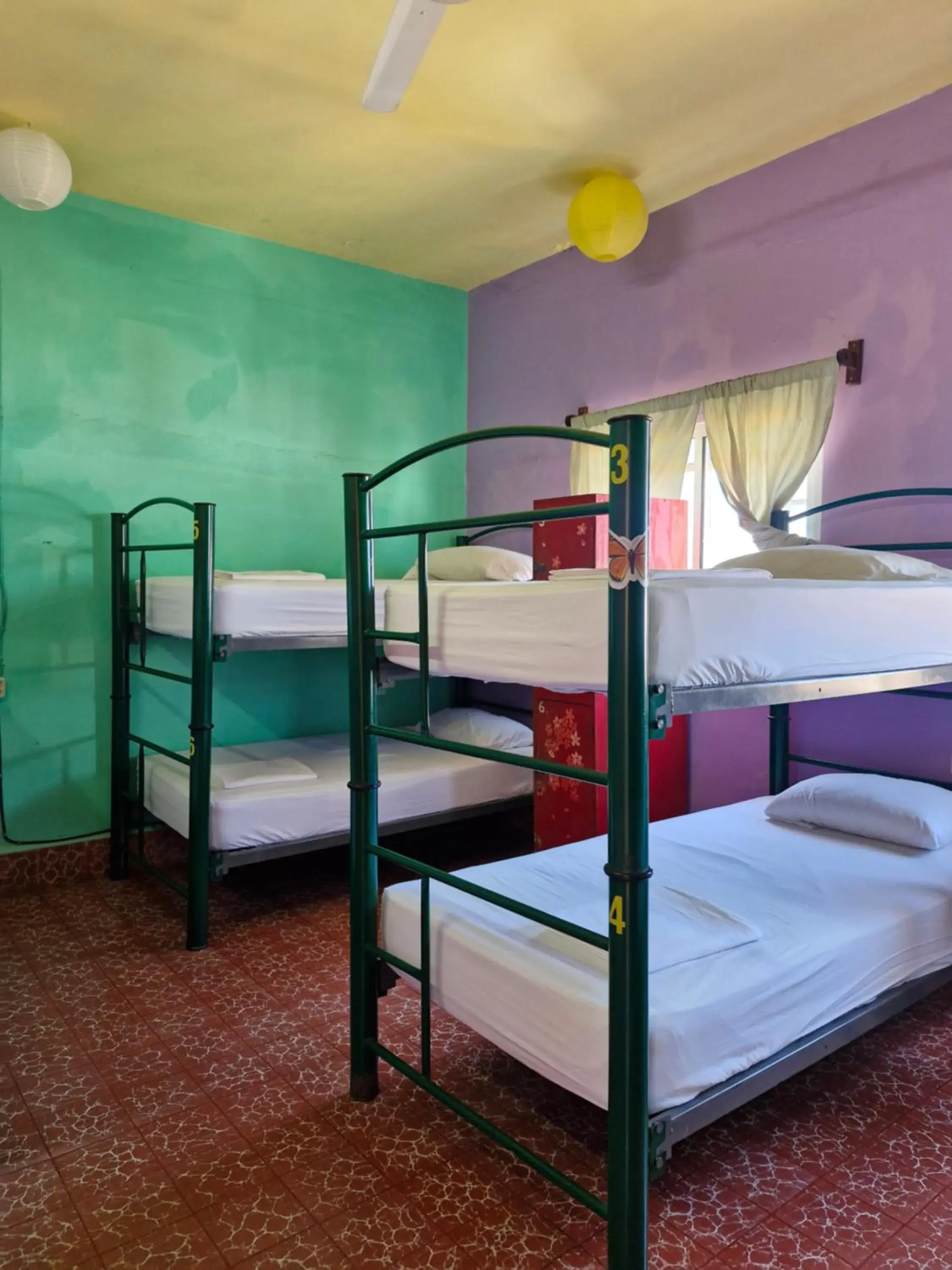 Single Bed in Female Dormitory Room in Casa Kraken Hostel Single Bed in Female Dormitory Room in Casa Kraken Hostel