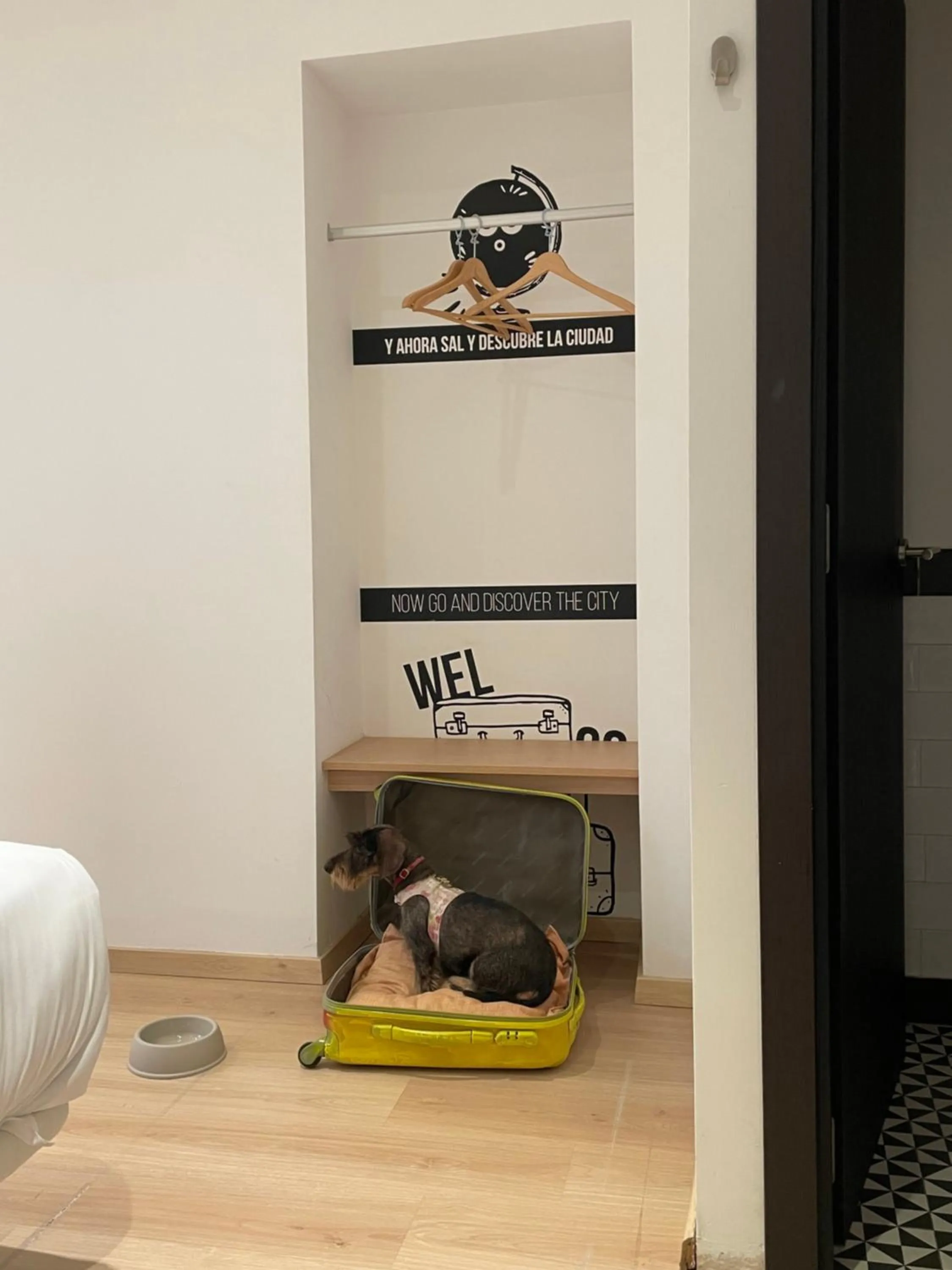 Pets in U-Sense For You Hostel Sevilla