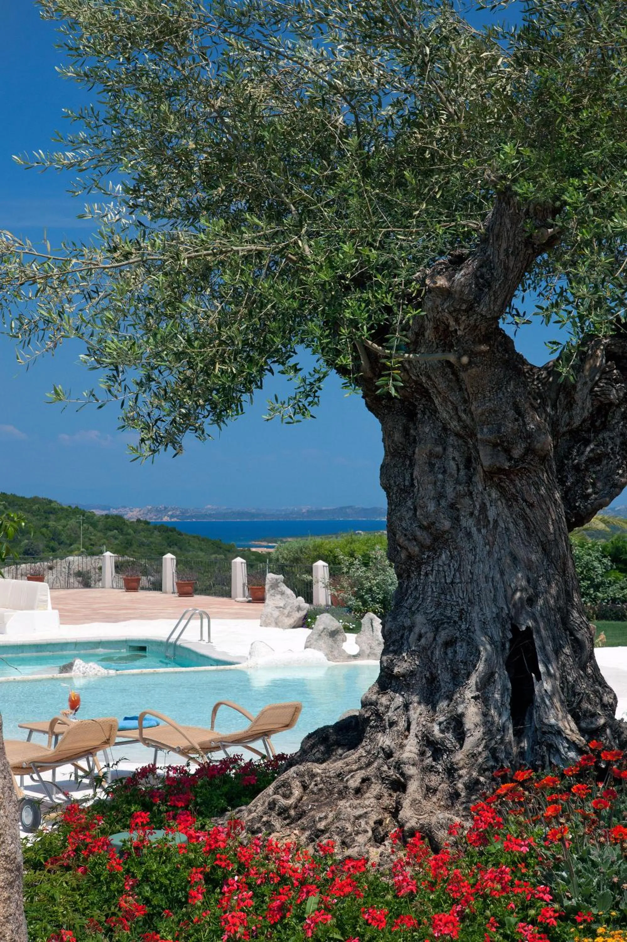 Garden view in Hotel Pulicinu