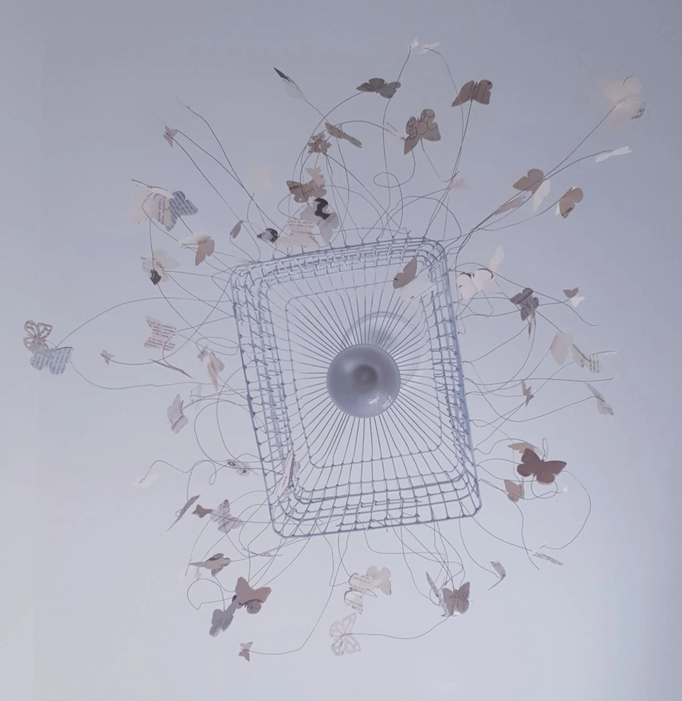 Decorative detail in CaraFe'&CaraSpe'