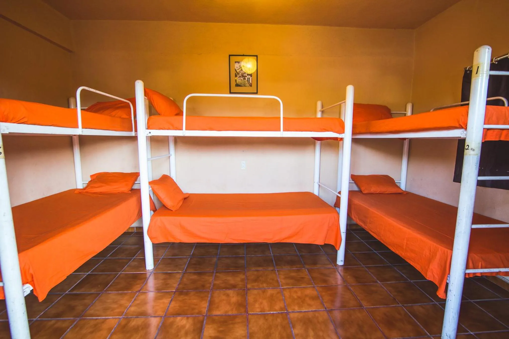 Bed in Oasis Hostel