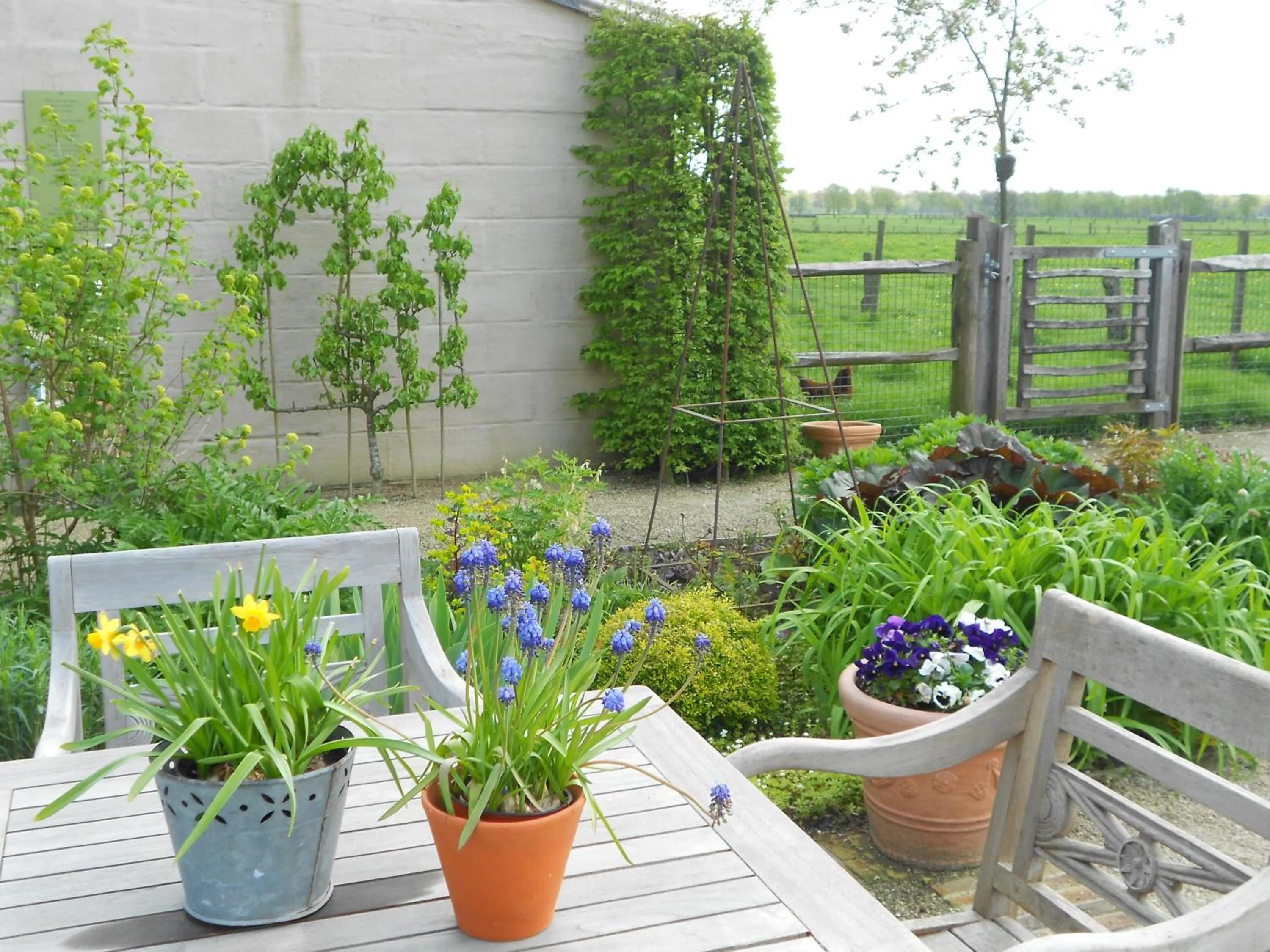 Balcony/Terrace in B&B Tuin der Zinnen
