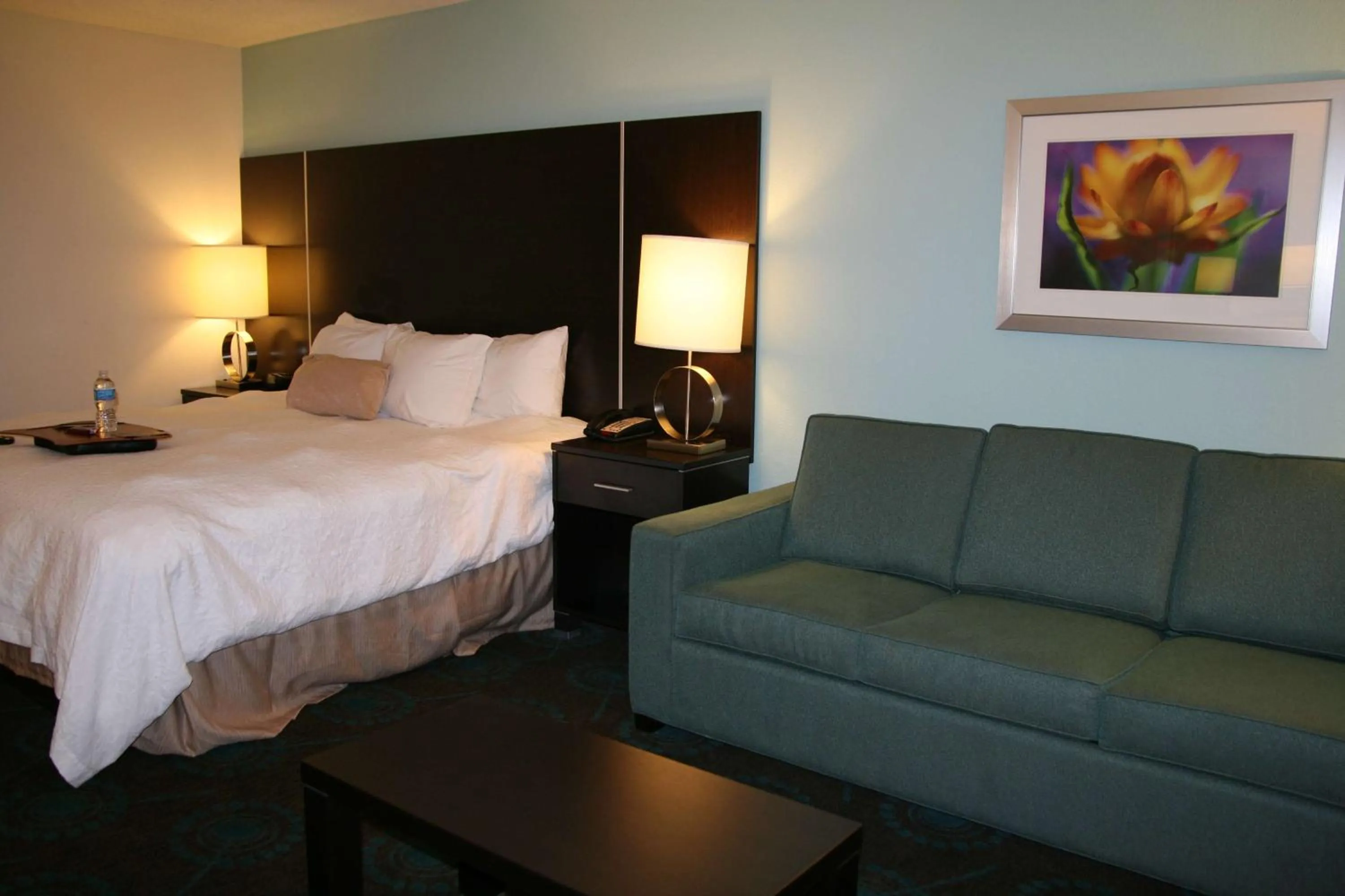 Bed in Hampton Inn Shreveport-Airport
