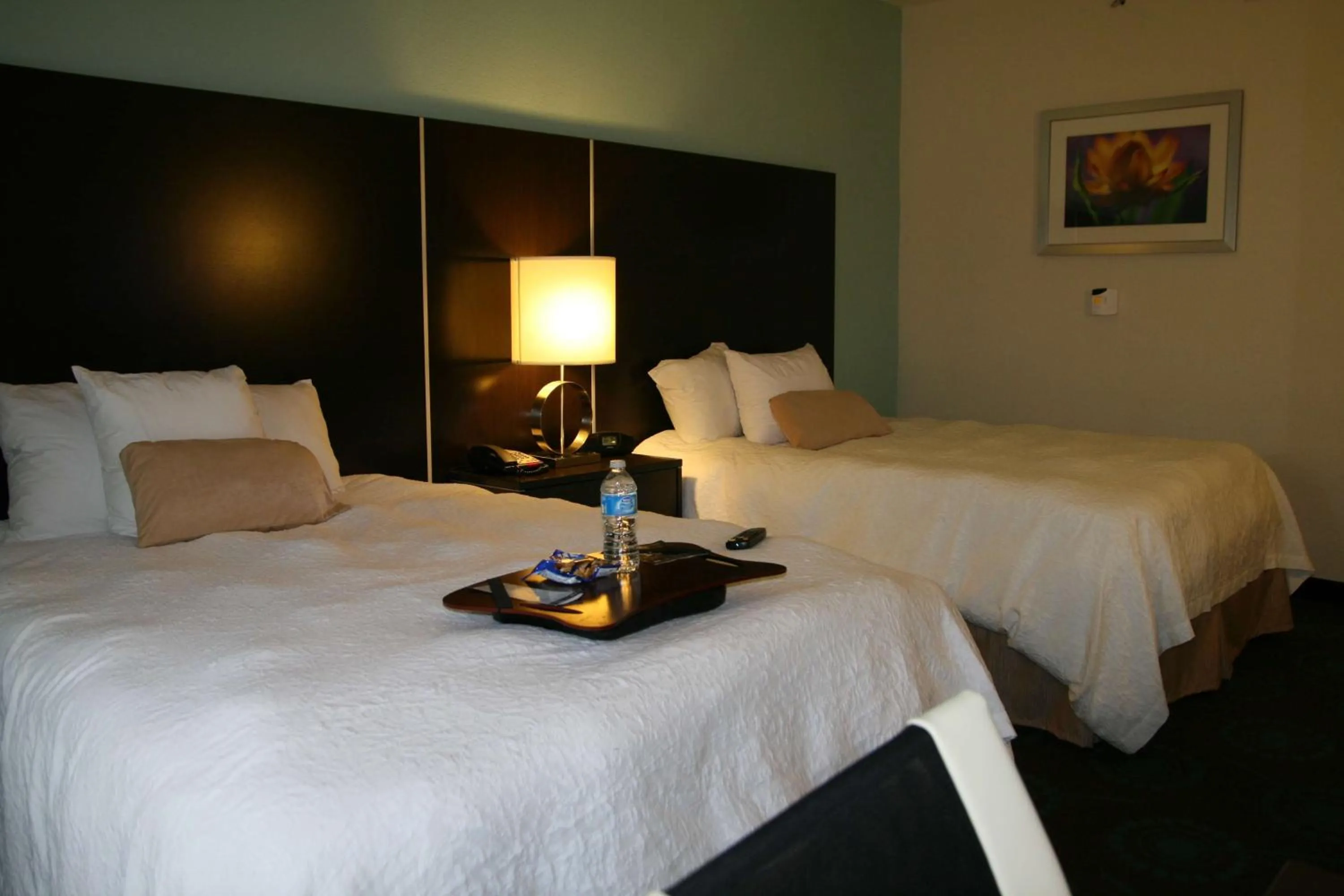 Bed in Hampton Inn Shreveport-Airport