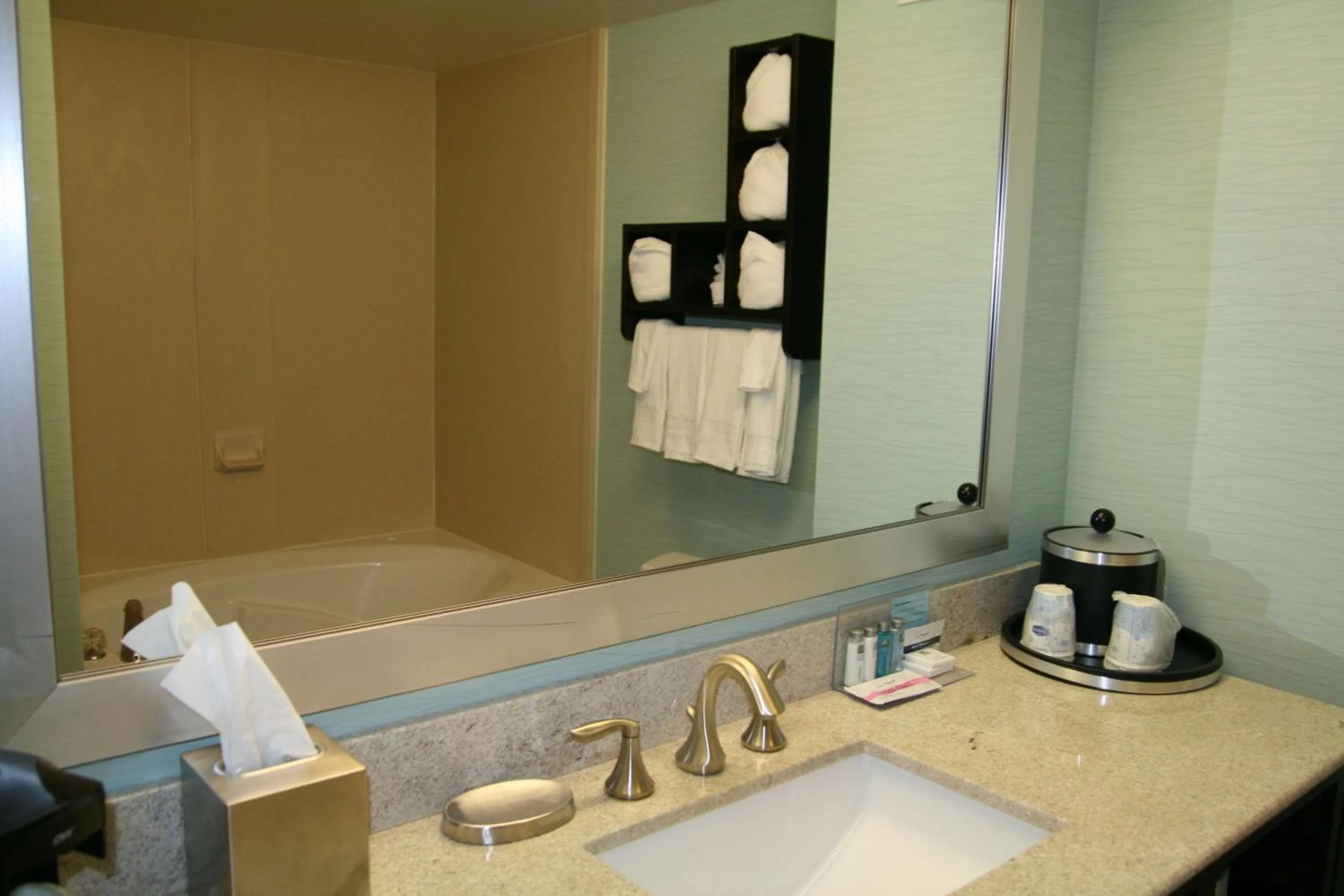 Bathroom in Hampton Inn Shreveport-Airport