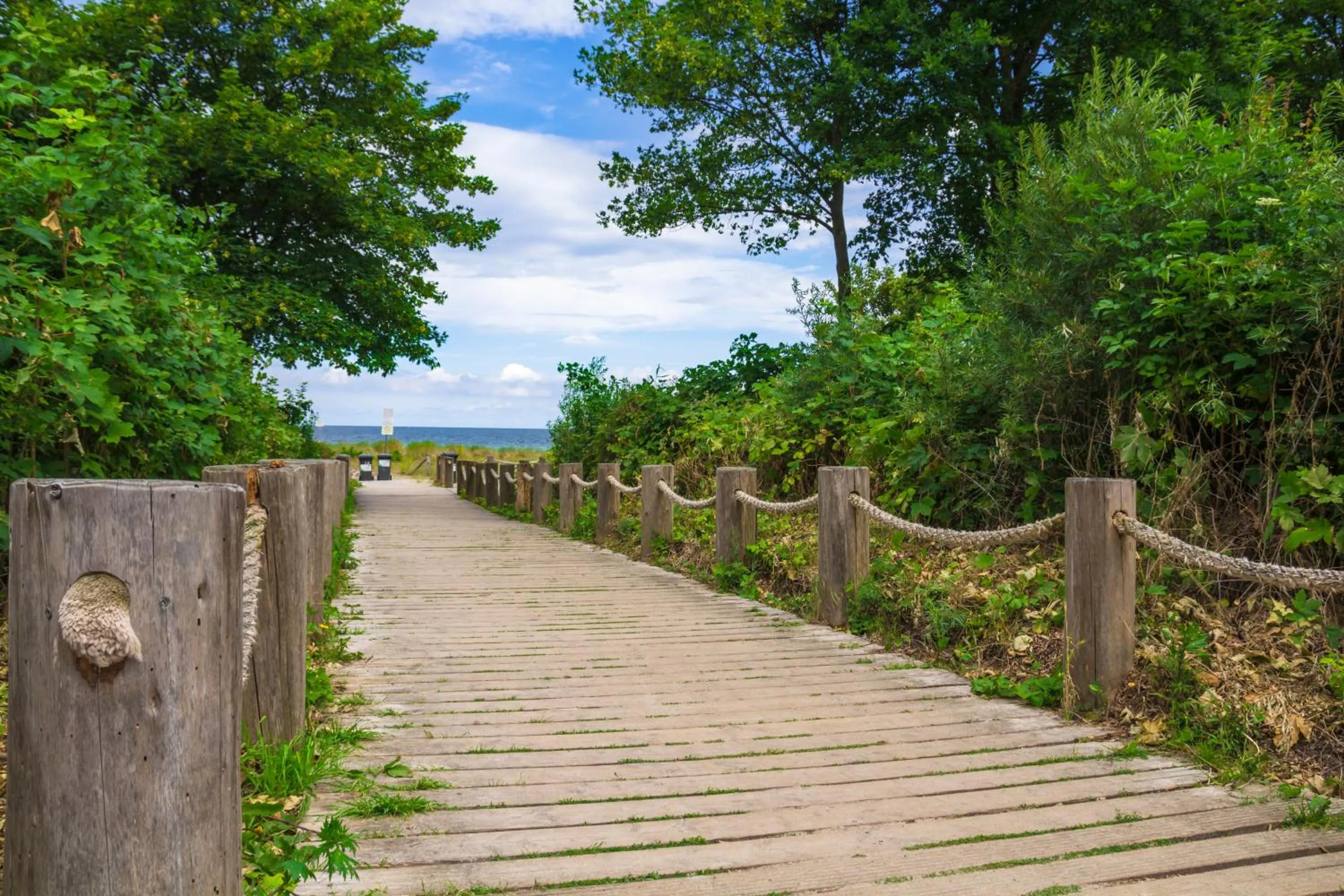 Natural landscape in Inselhotel Poel
