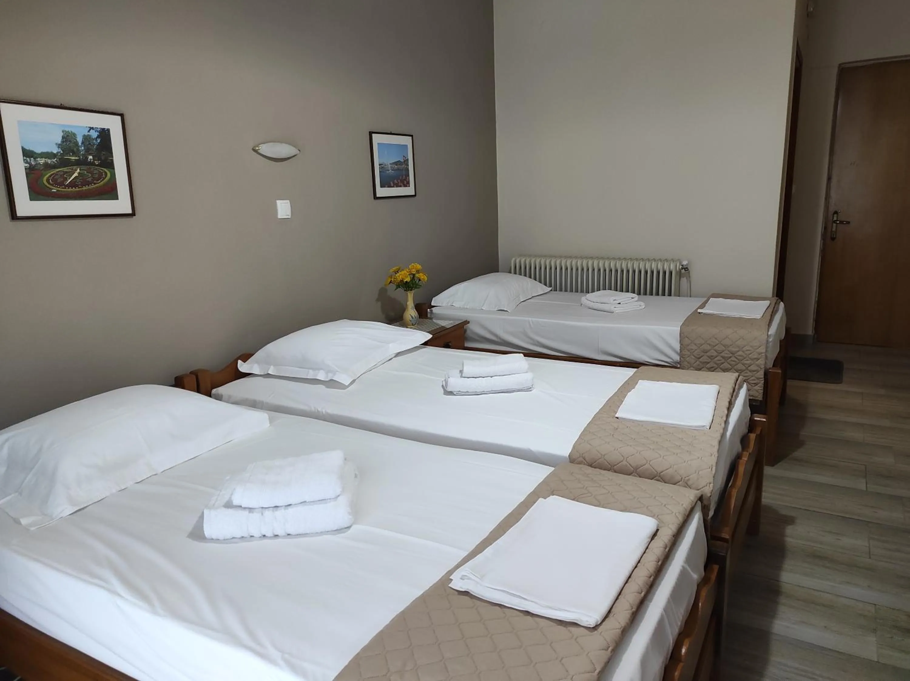 Triple Room with Mountain View - single occupancy in Ενοικιαζόμενα Δωμάτια Ενιπεύς- Rooms Enipeas