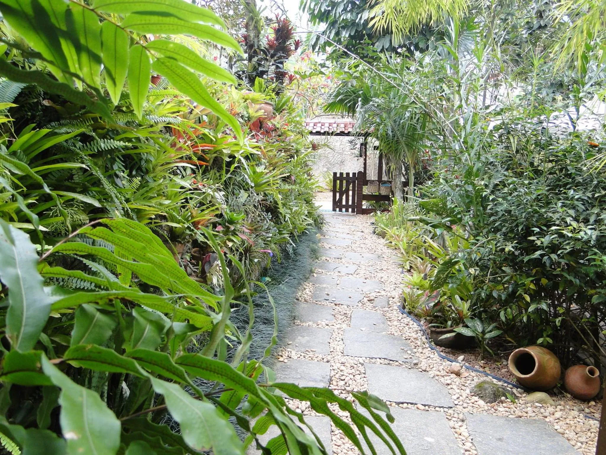 Garden in Pousada Riacho Dos Cambucas
