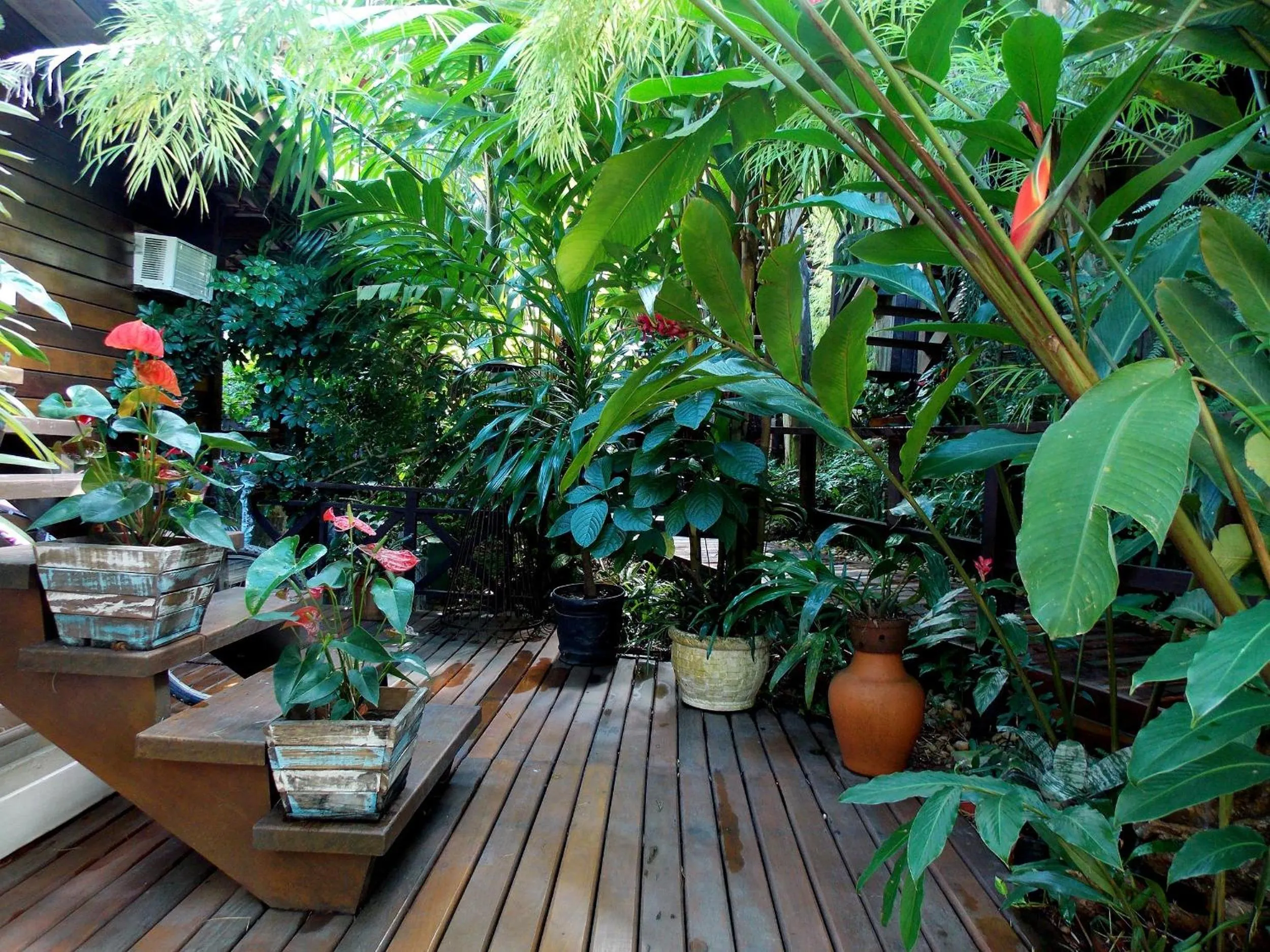 Garden in Pousada Riacho Dos Cambucas