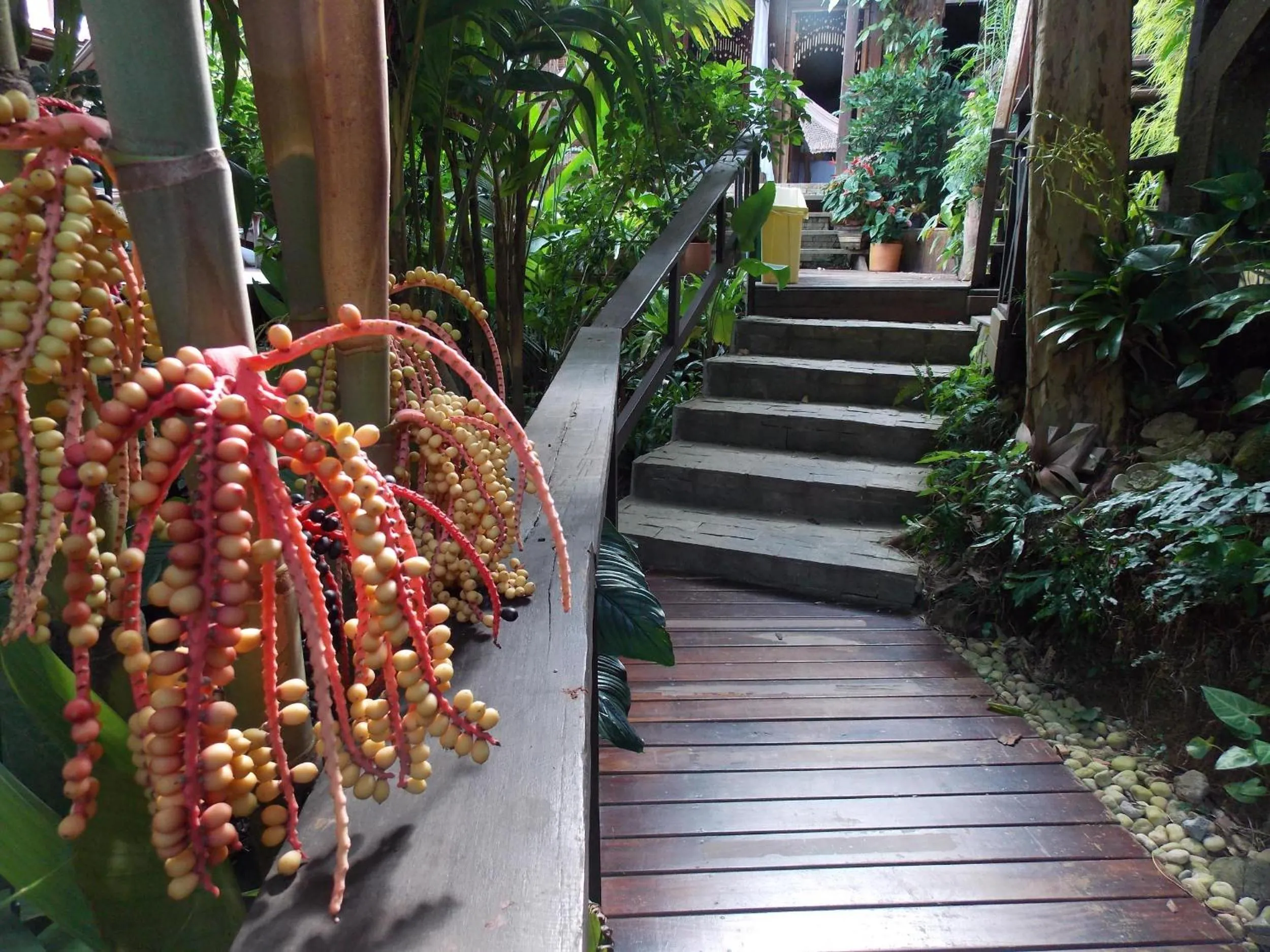 Day in Pousada Riacho Dos Cambucas