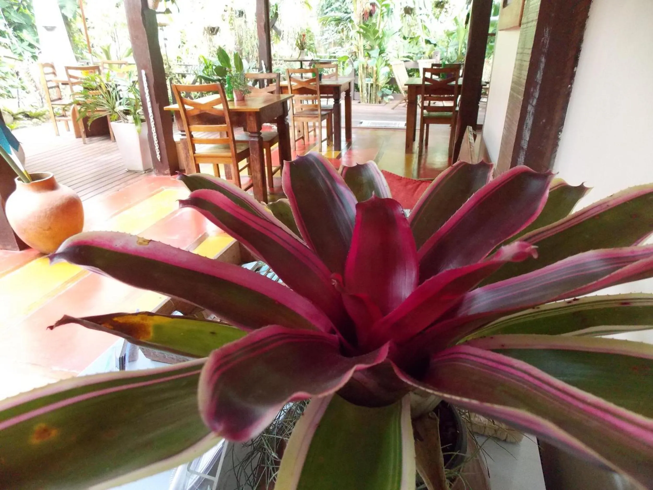 Day in Pousada Riacho Dos Cambucas