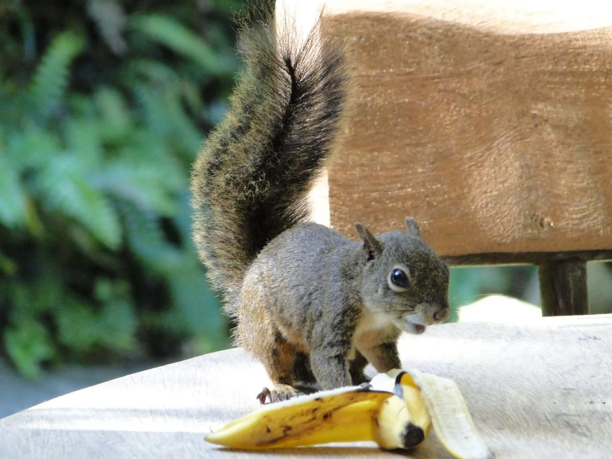 Activities in Pousada Riacho Dos Cambucas