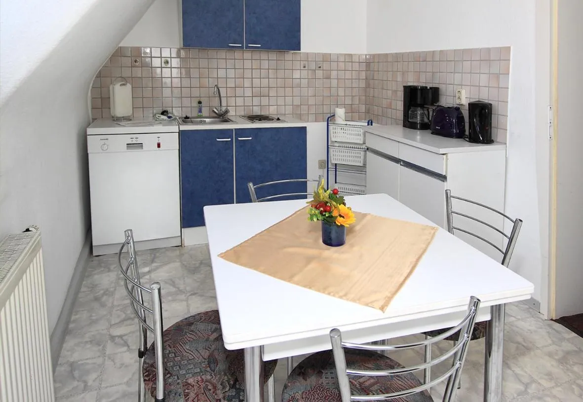 Kitchen or kitchenette in Gaststätte und Pension Felsenthal