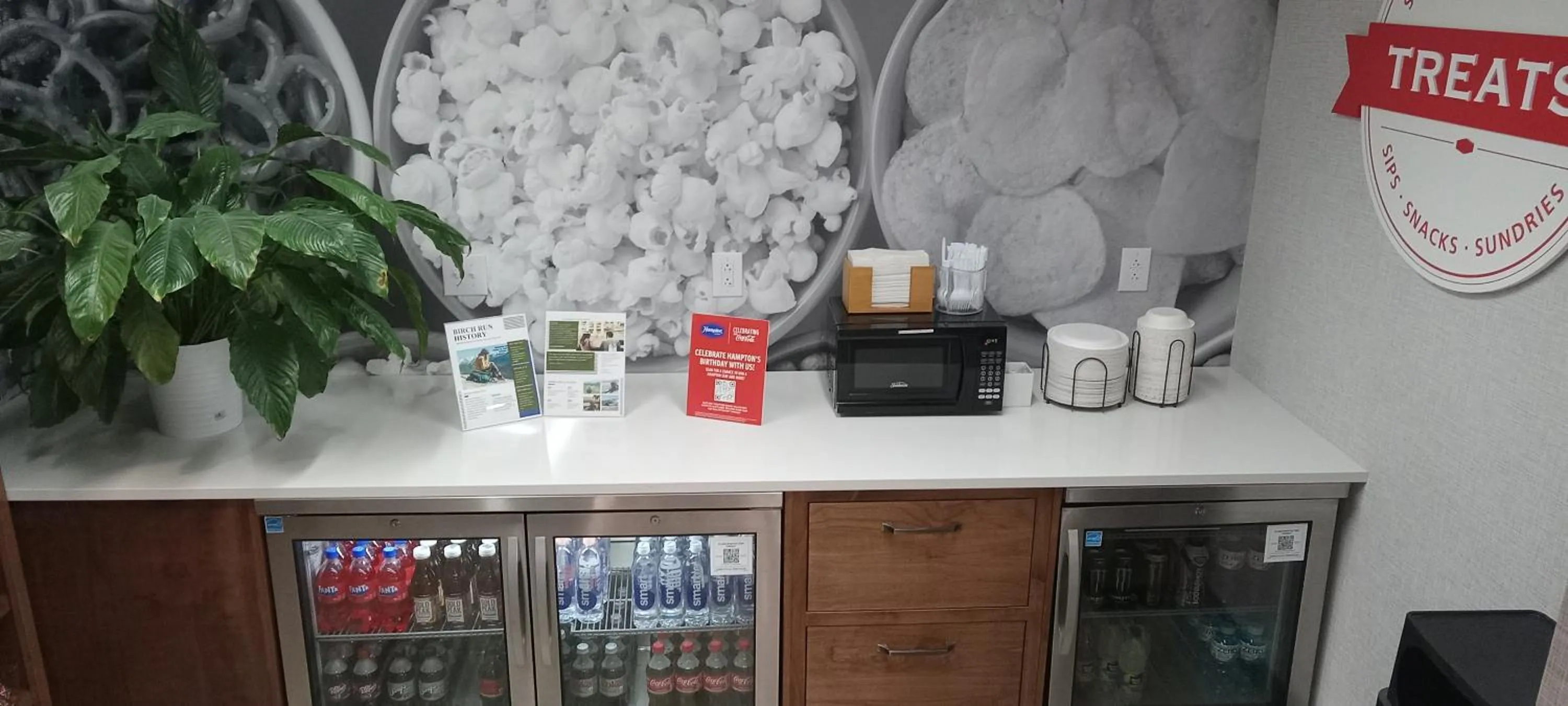 On-site shops in Hampton Inn Birch Run