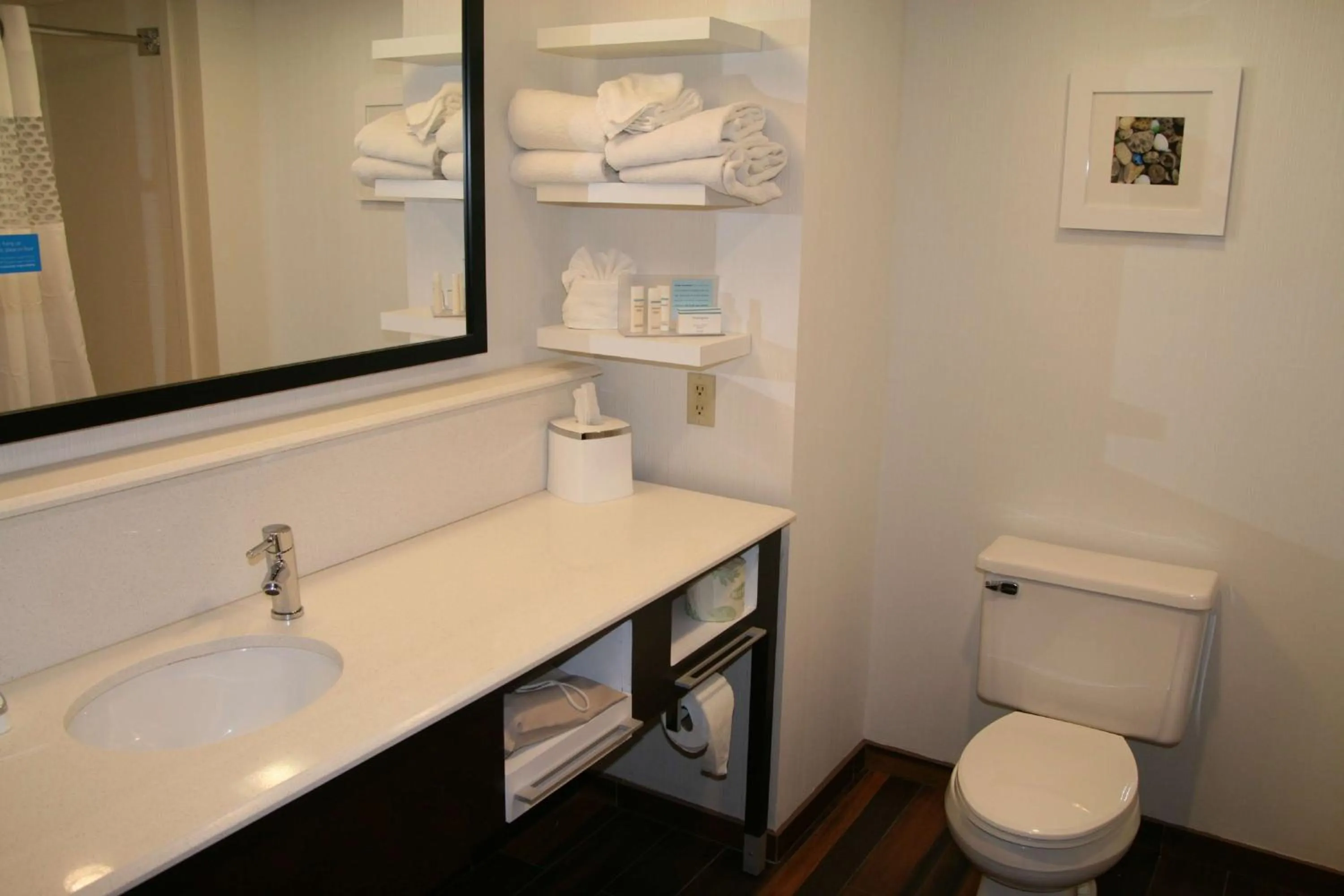 Bathroom in Hampton Inn Birch Run