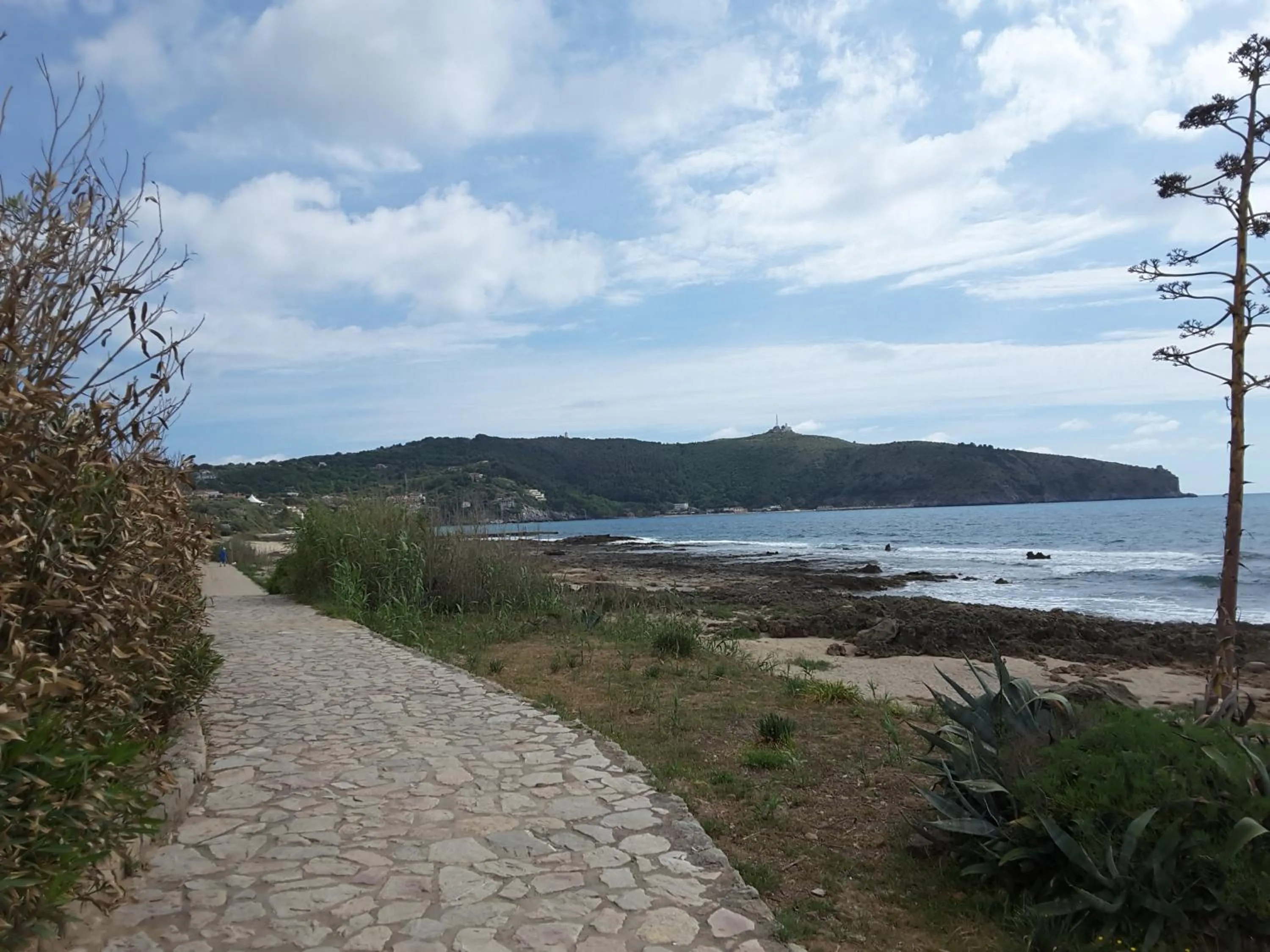 Natural landscape in mansarda fiorita