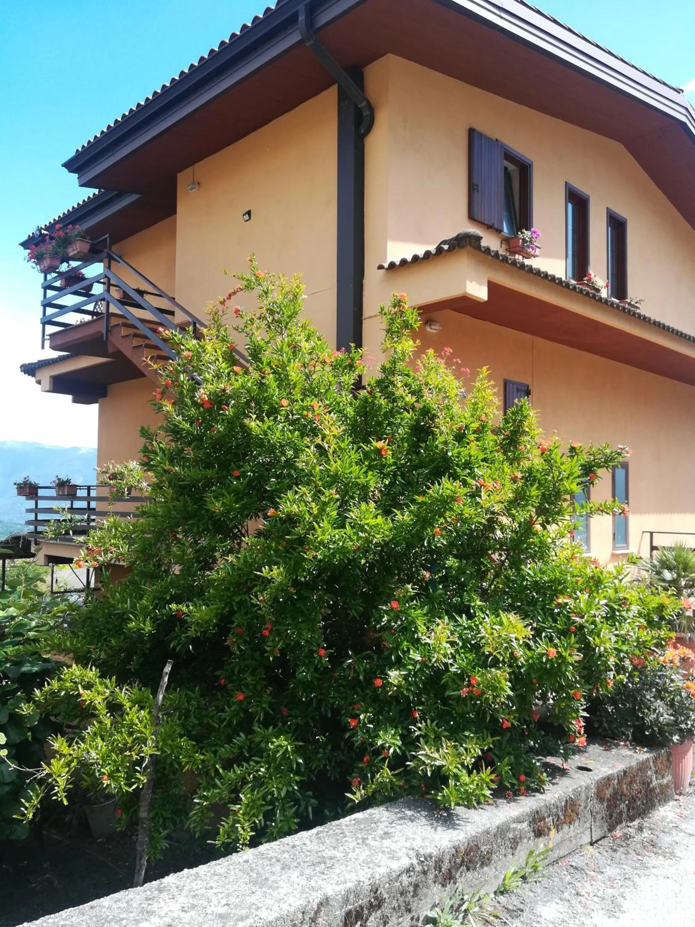 Property building in mansarda fiorita
