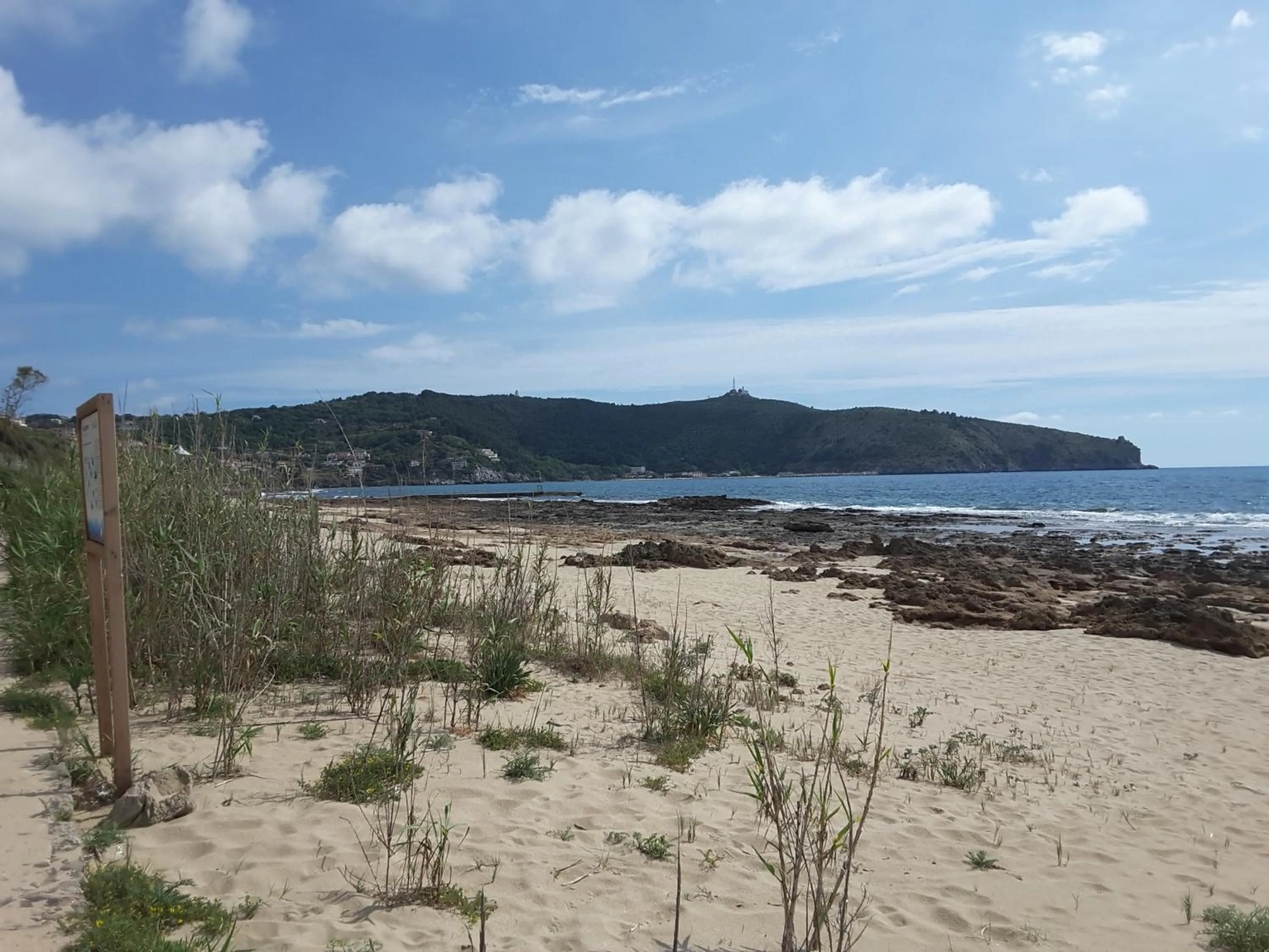 Natural landscape in mansarda fiorita