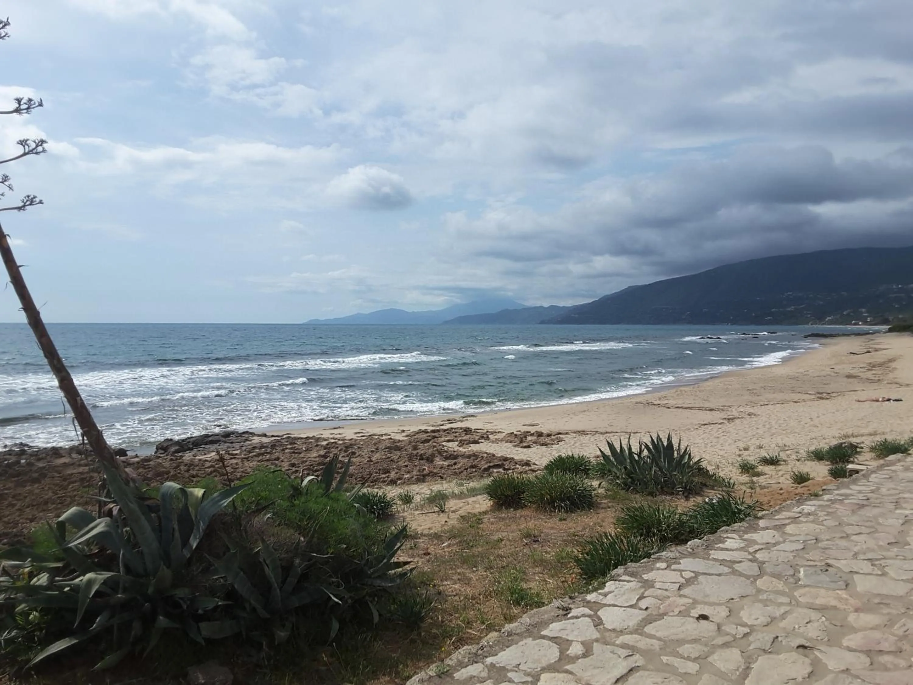 Beach in mansarda fiorita