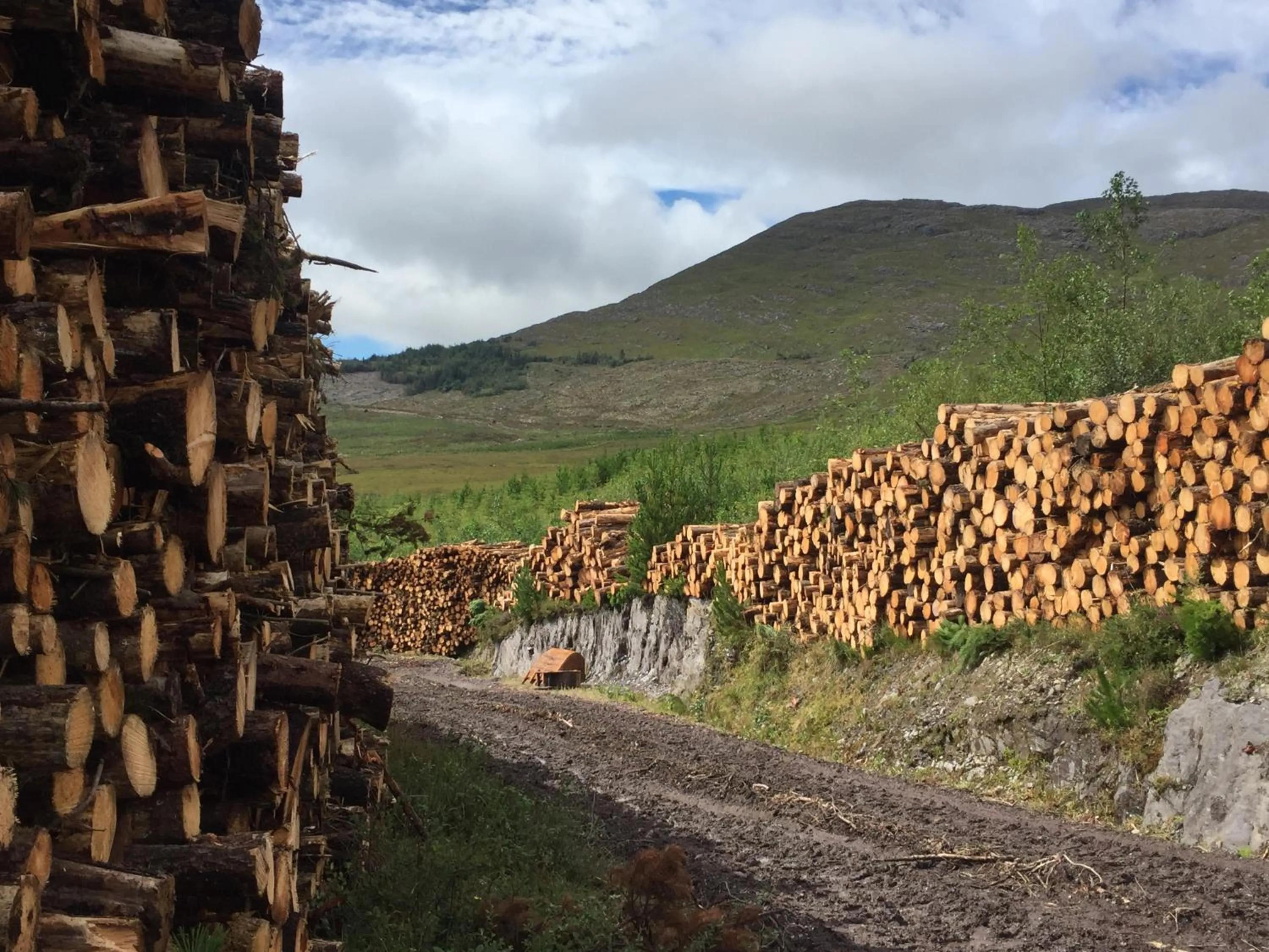 Natural landscape in Álaind Lodges, Sneem