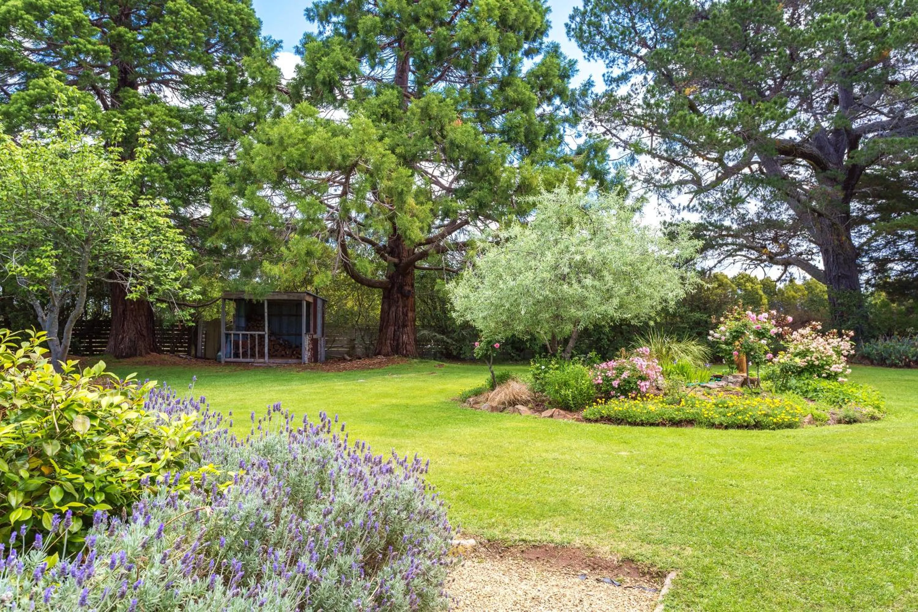 Belmont Homestead