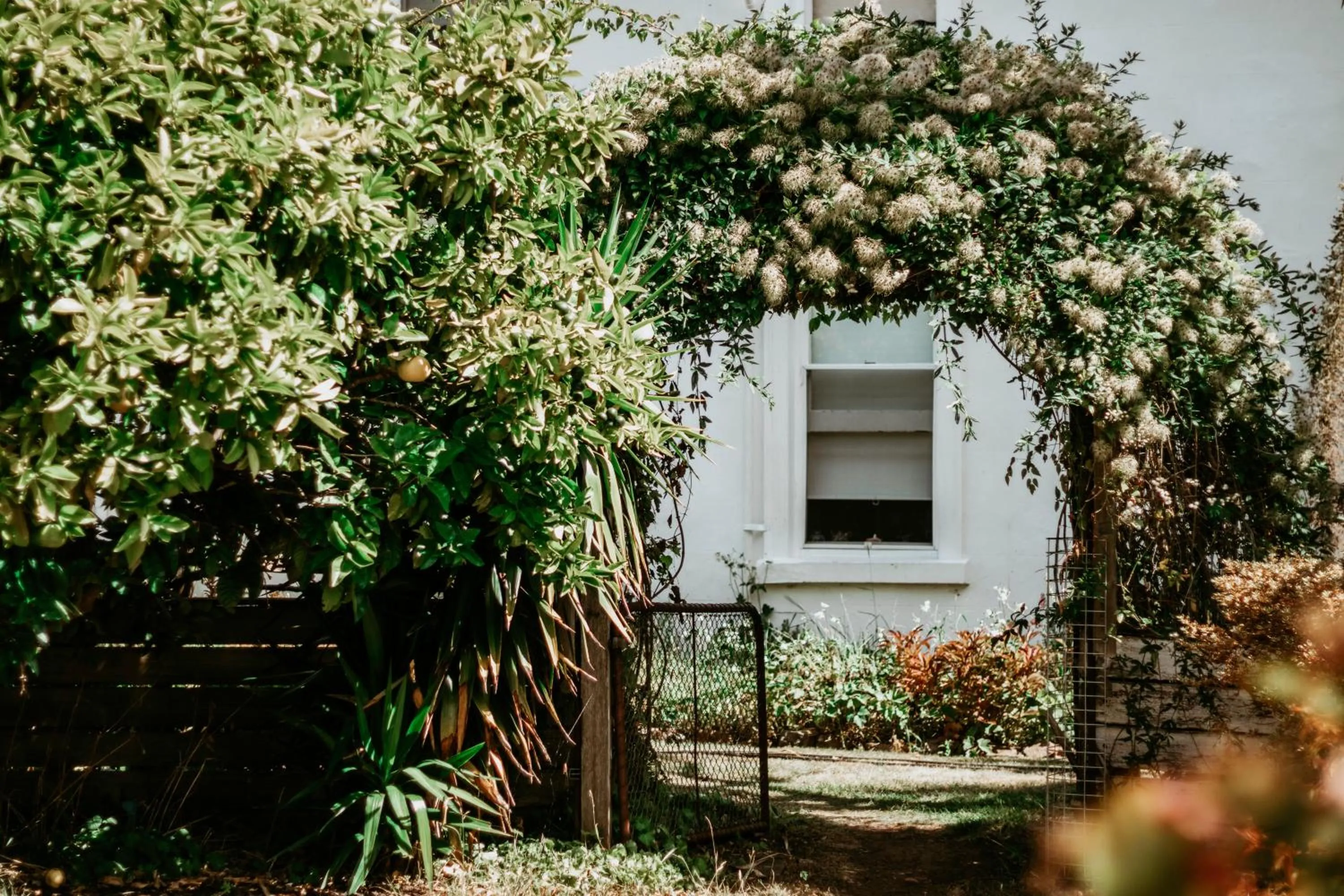 Belmont Homestead