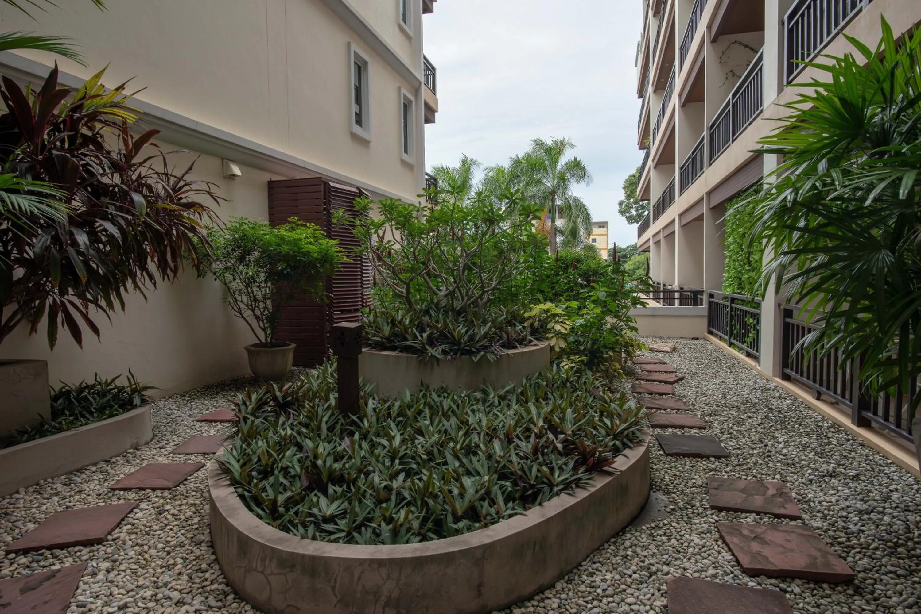 Garden in Jomtien Beach Penthouses