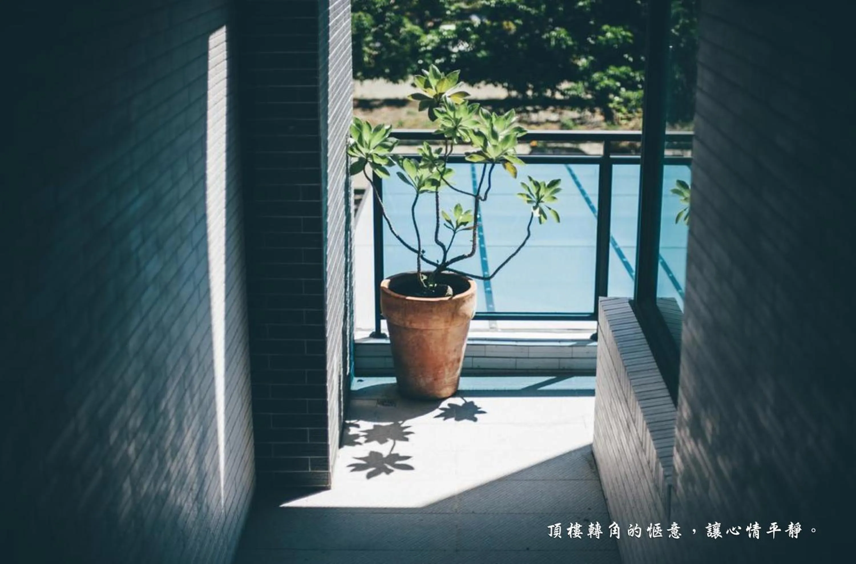 Decorative detail in Mambo Boutique Hotel